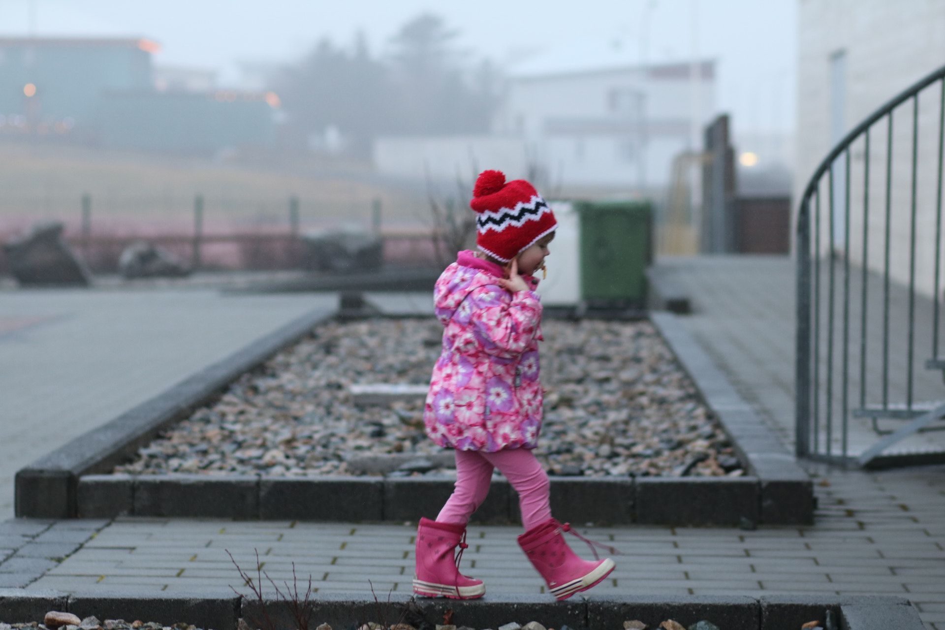 Canon EOS 750D (EOS Rebel T6i / EOS Kiss X8i) + Canon EF 85mm F1.8 USM sample photo. Pink on a grey day. photography