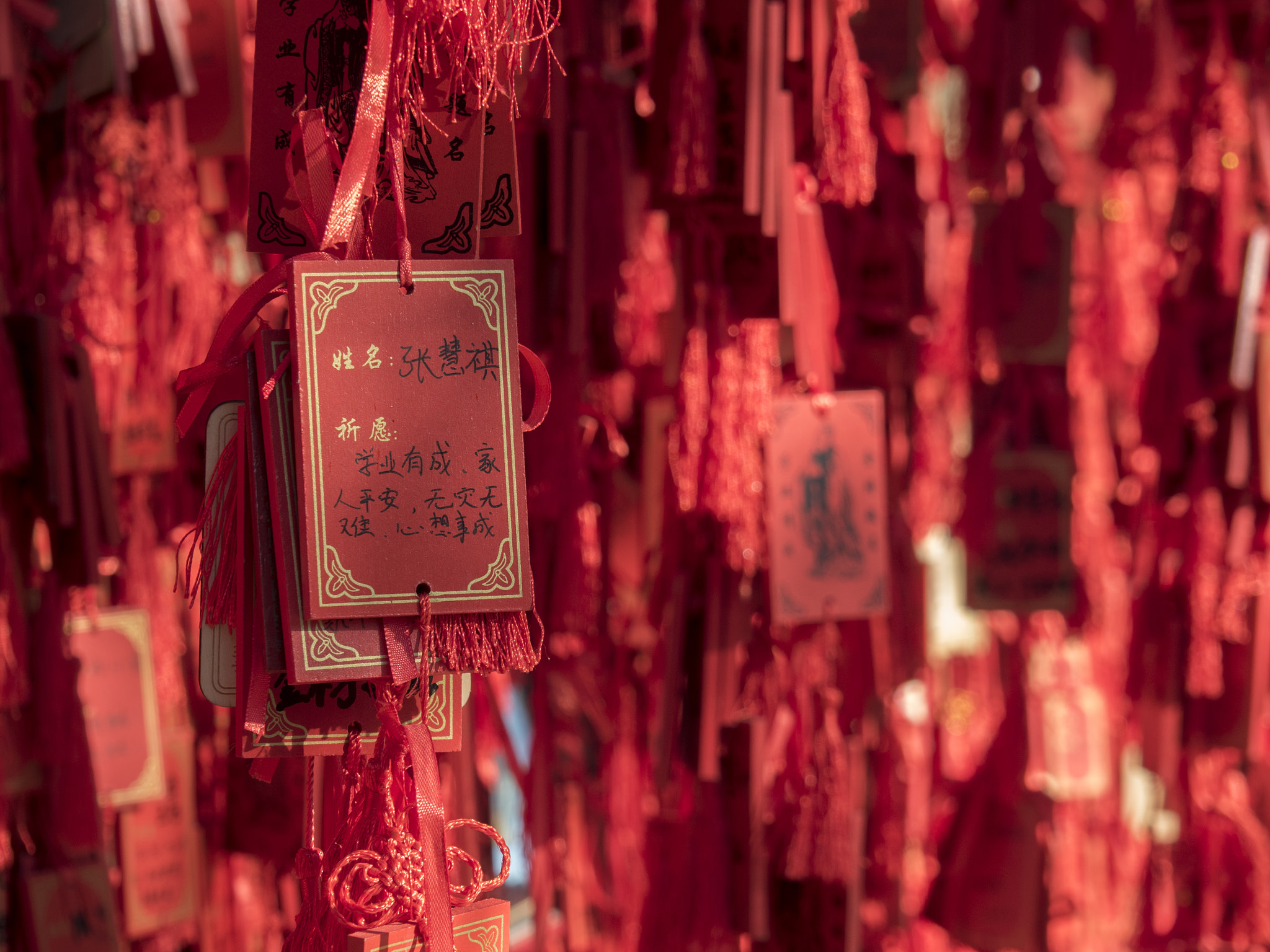 OLYMPUS M.14-150mm F4.0-5.6 II sample photo. Yunnan - china photography