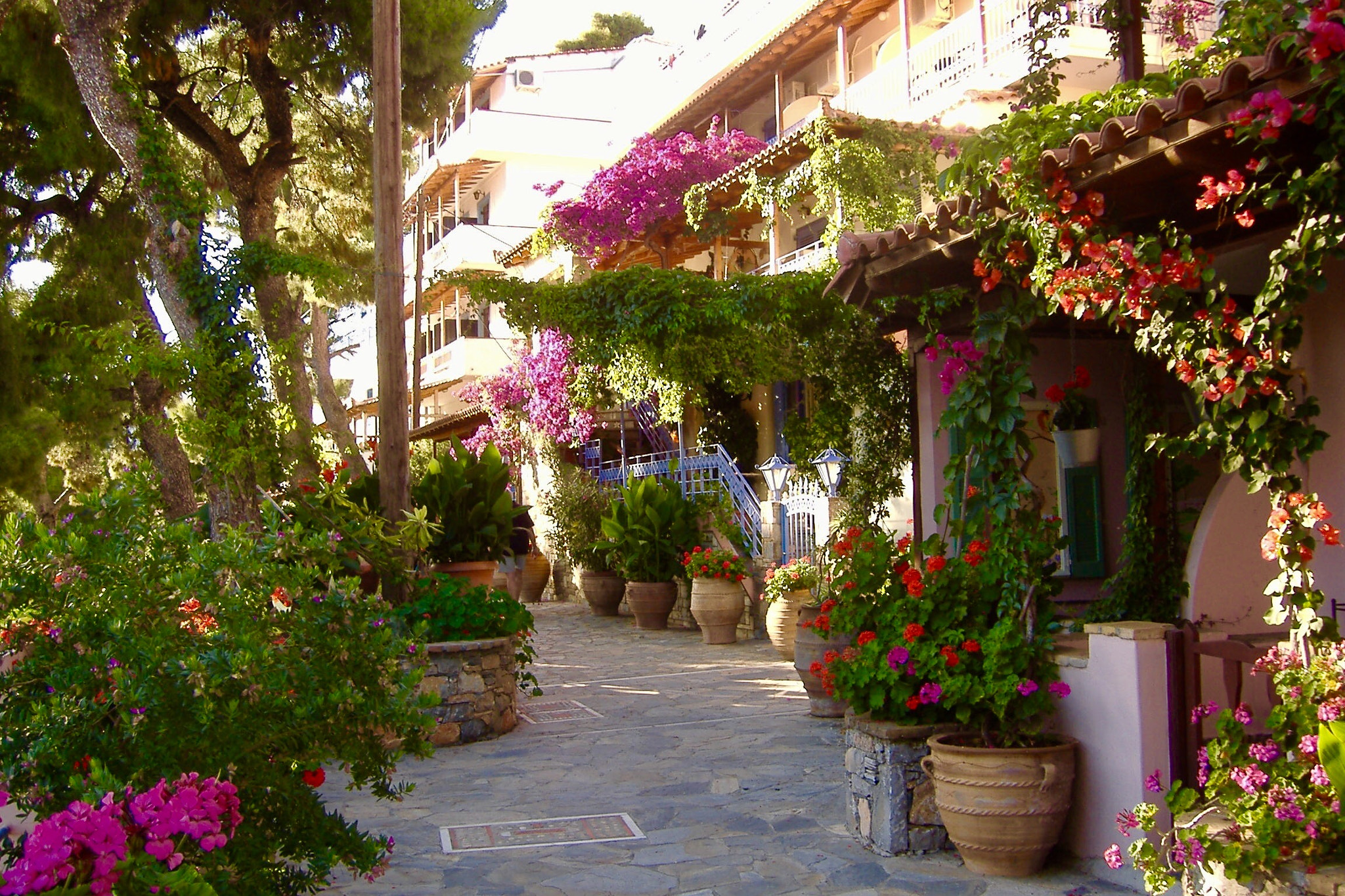 Fujifilm FinePix A345 sample photo. A street in alonissos, greece photography