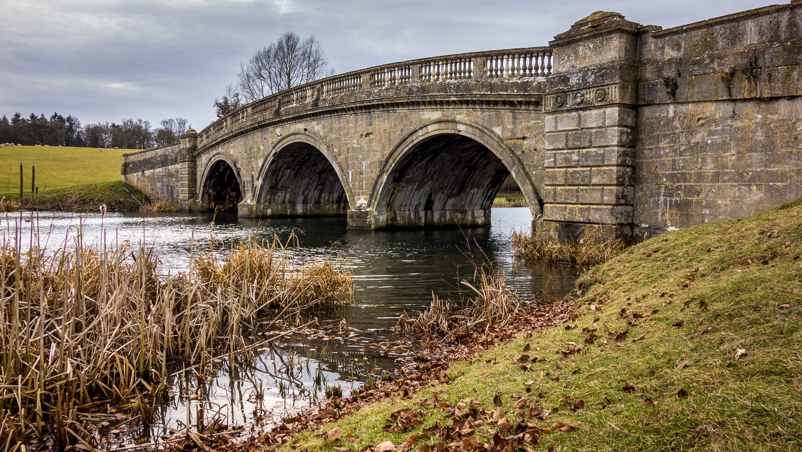 Hasselblad Stellar sample photo. Bladon bridge photography