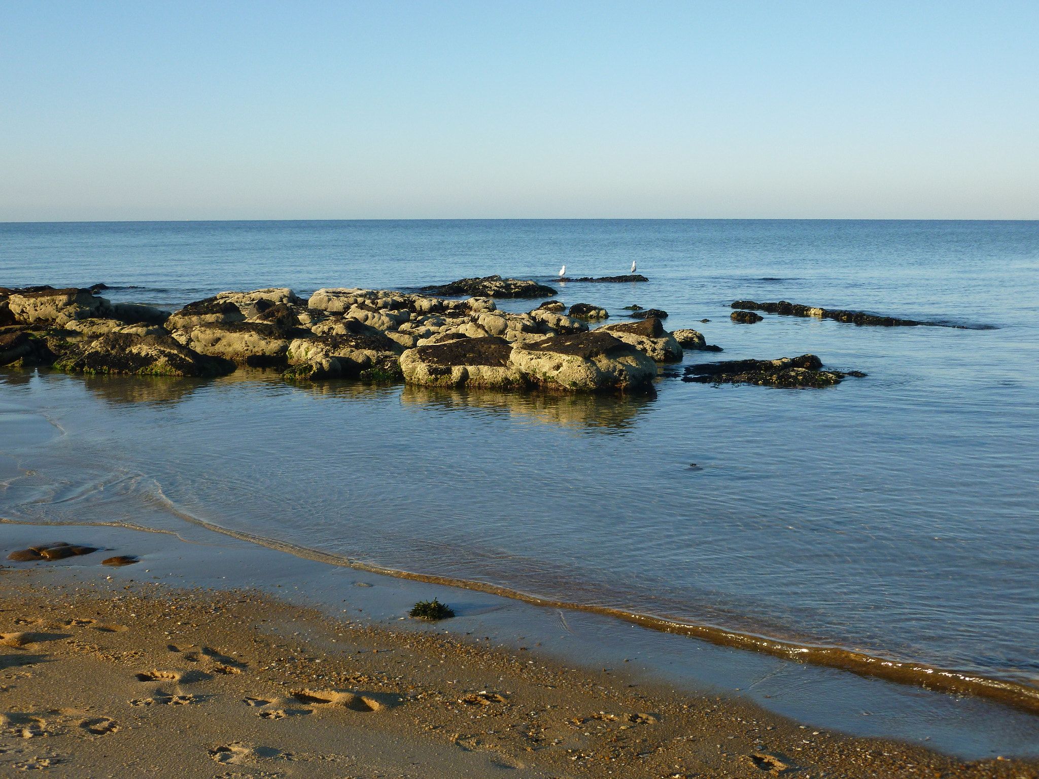 Panasonic DMC-FH25 sample photo. Parkdale beach, early morning walk photography