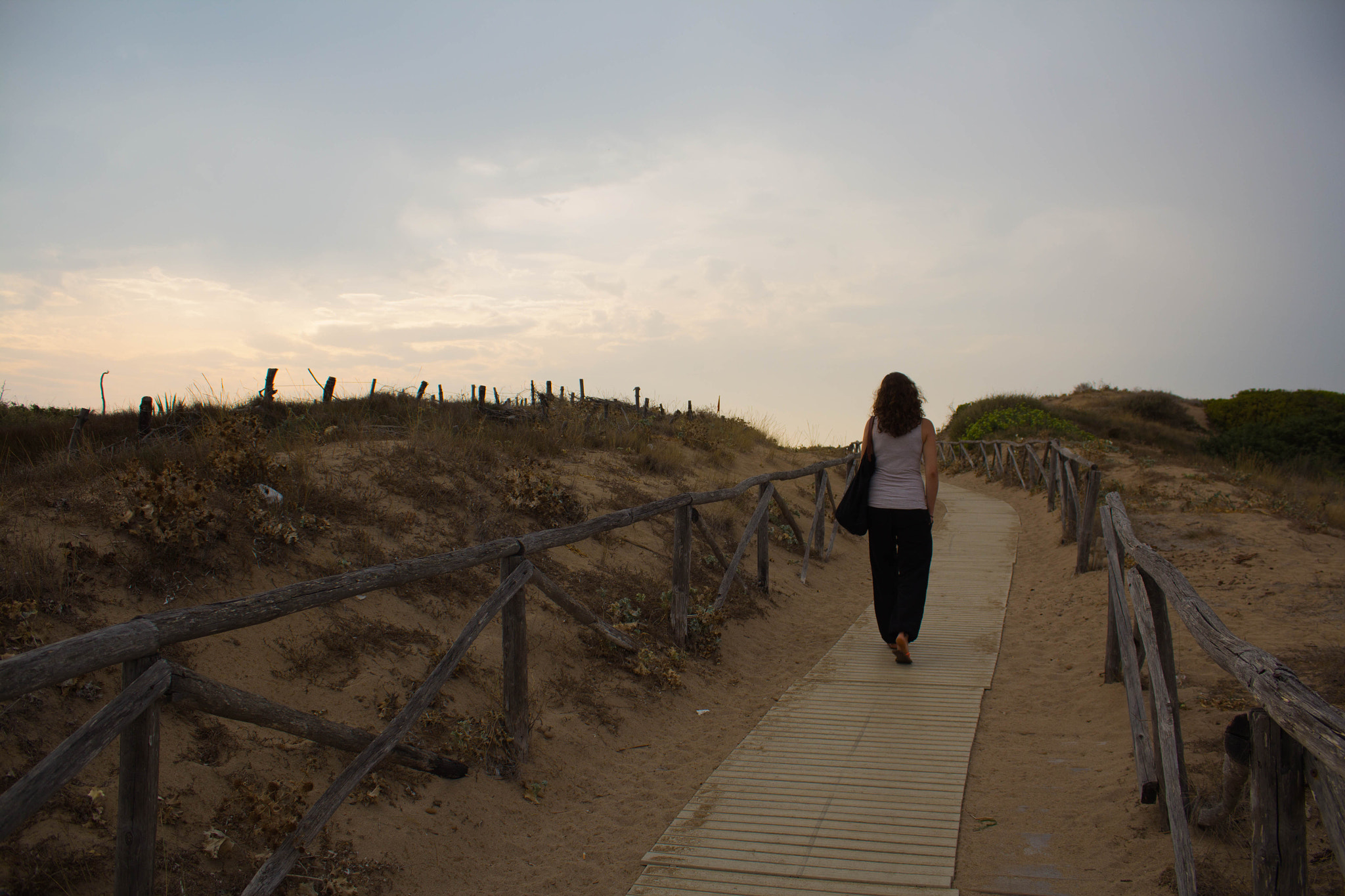 Canon EF-S 18-55mm F3.5-5.6 IS sample photo. Walkthisway photography