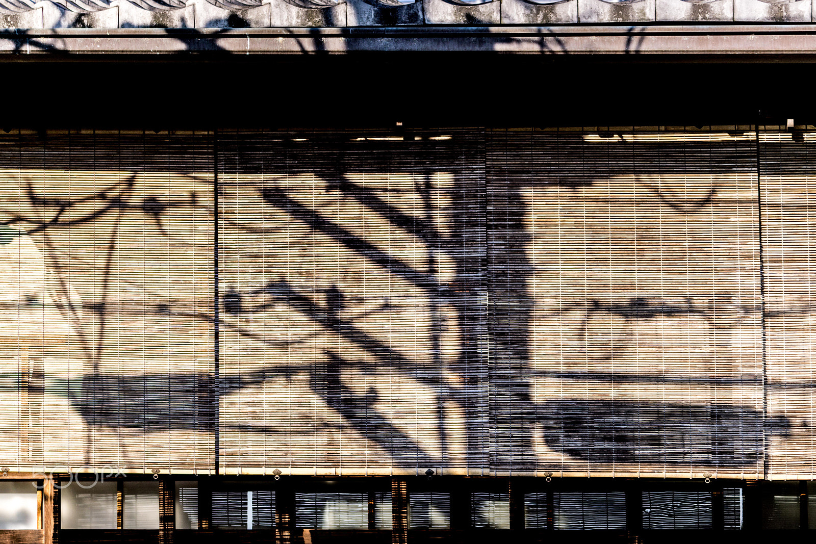 Sony a6000 + Sony FE 70-200mm F4 G OSS sample photo. Crossing urban and traditional photography