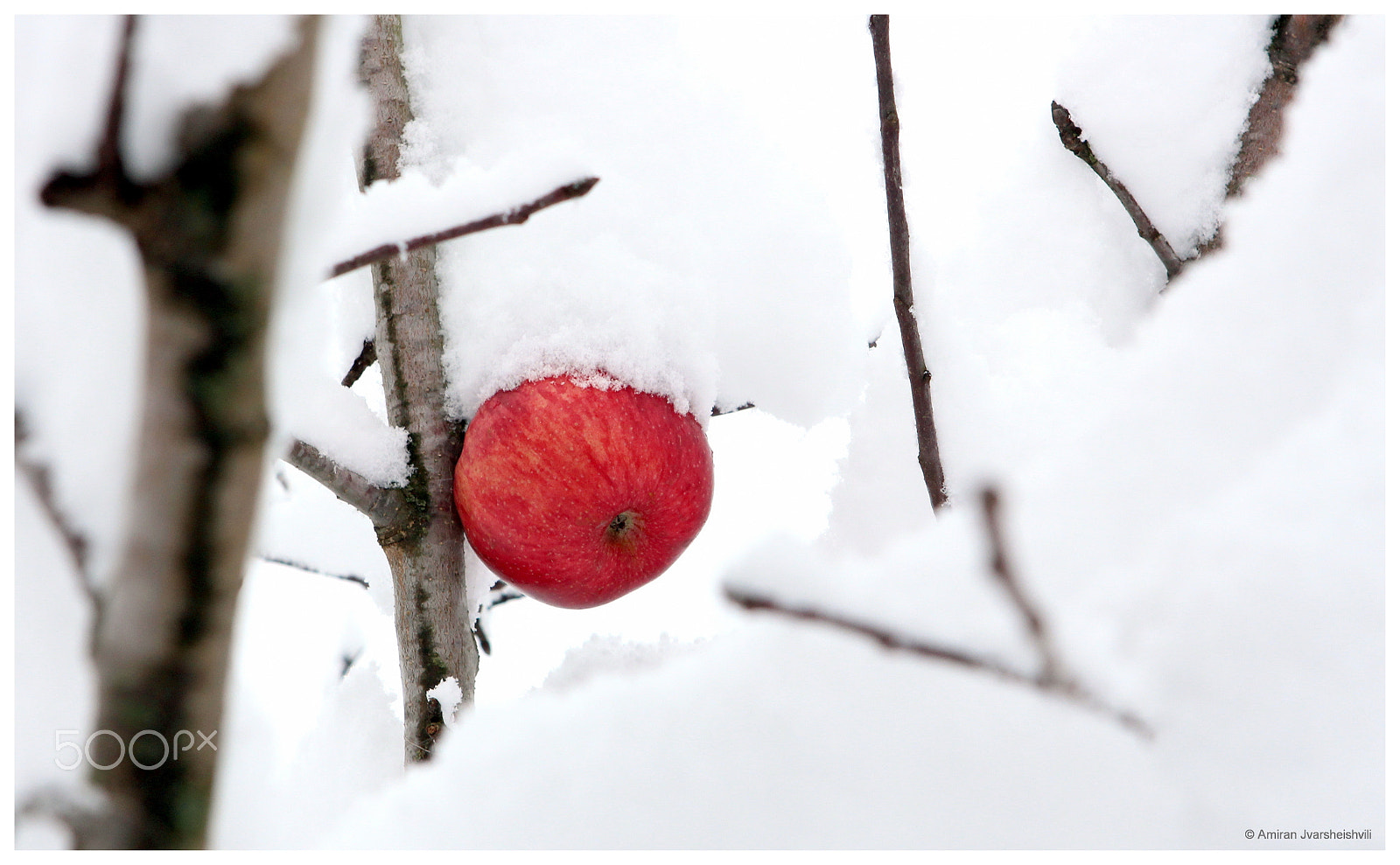 Canon EOS 700D (EOS Rebel T5i / EOS Kiss X7i) sample photo. Winter photography