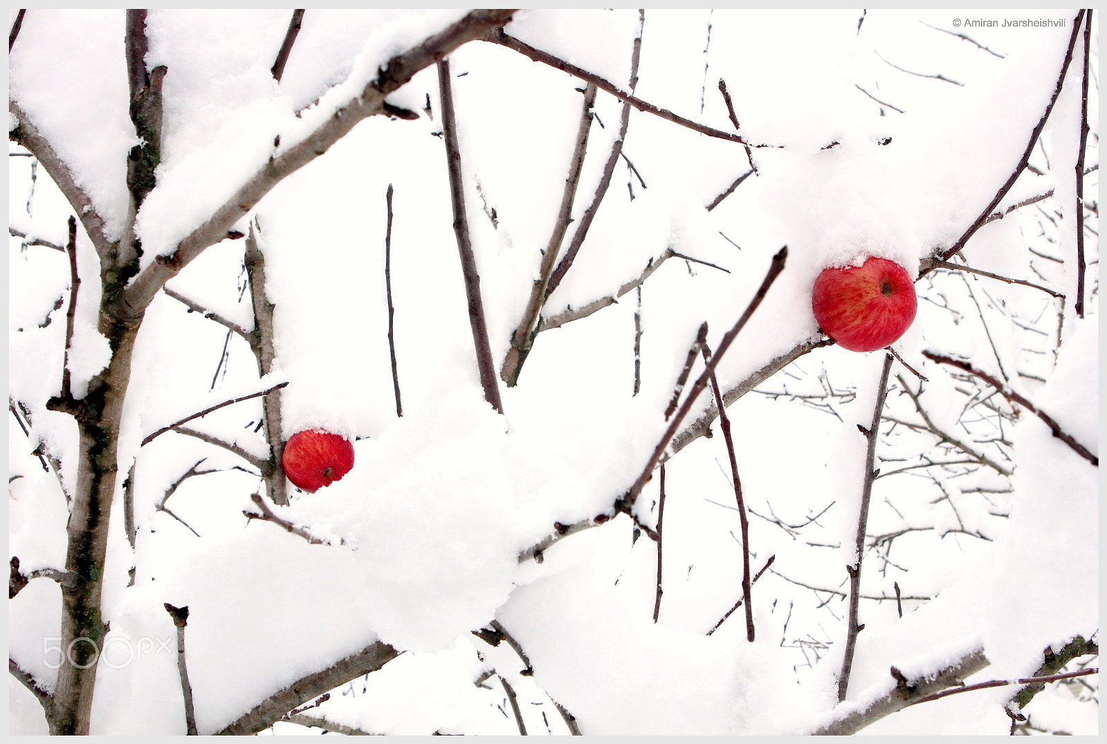 Canon EOS 700D (EOS Rebel T5i / EOS Kiss X7i) + Canon EF 24-70mm F2.8L USM sample photo. Snow photography