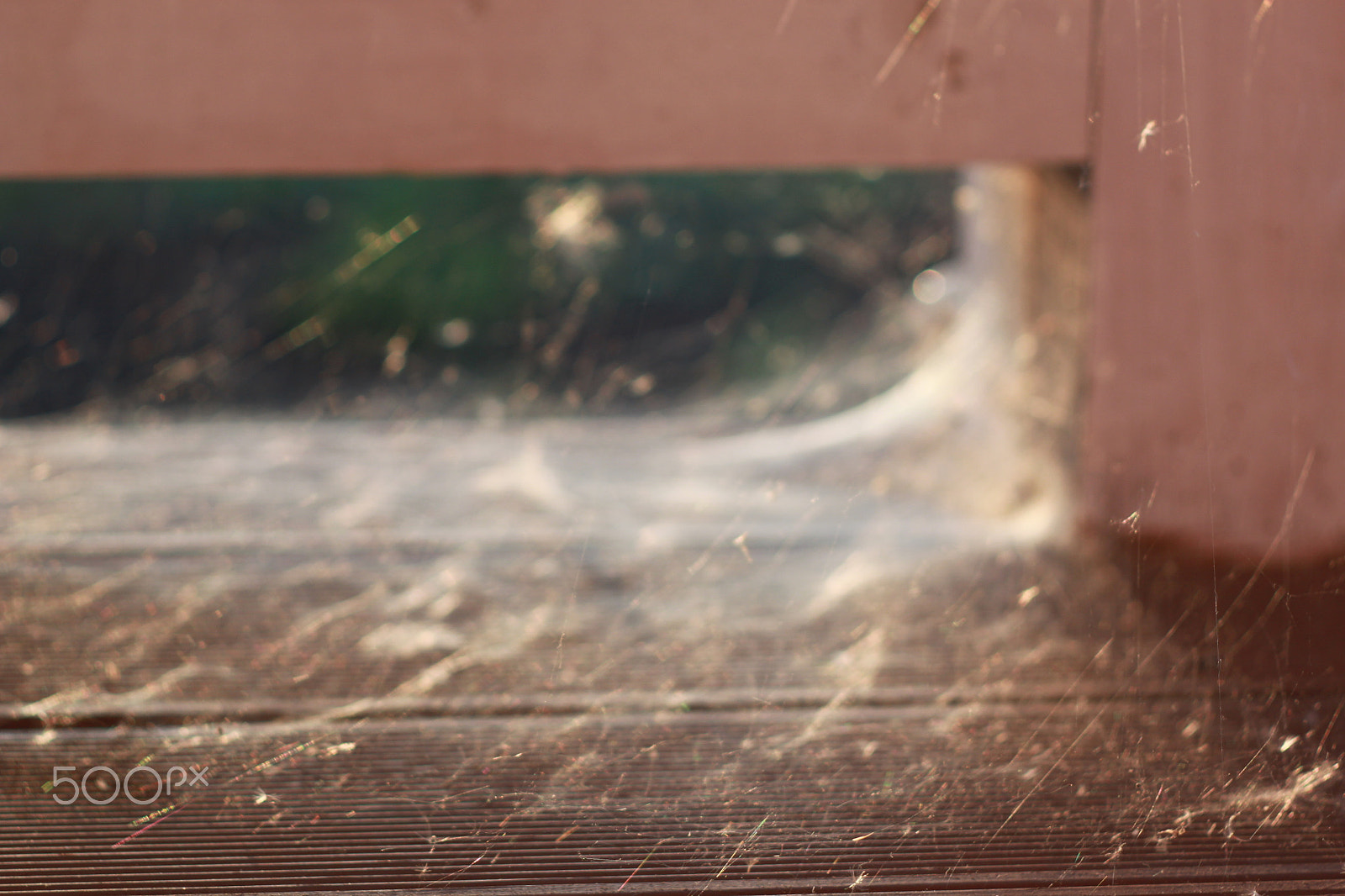 Canon EF 35-80mm f/4-5.6 sample photo. Spider`s magnificent fine art photography