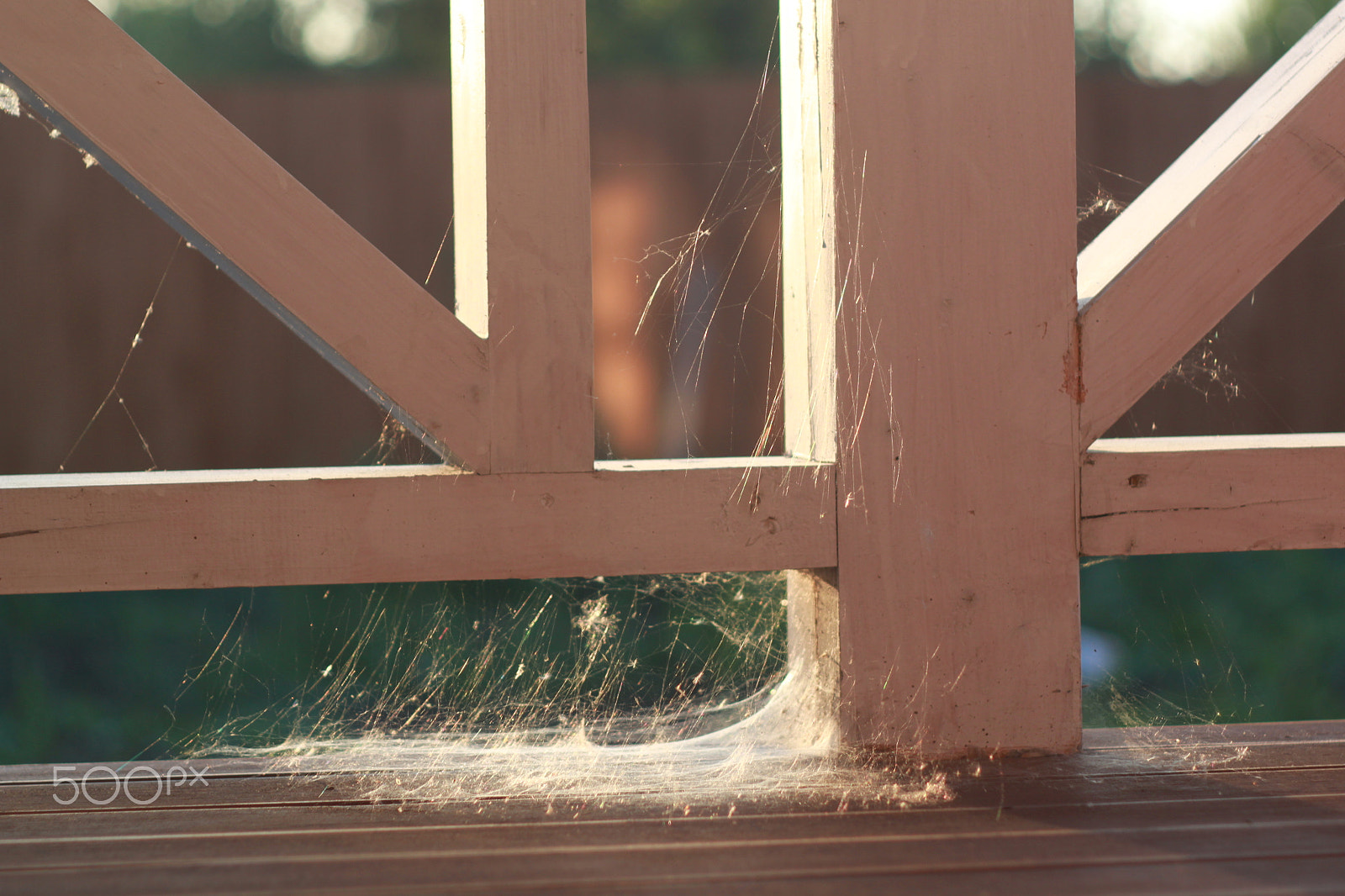 Canon EF 35-80mm f/4-5.6 sample photo. Natural composition photography