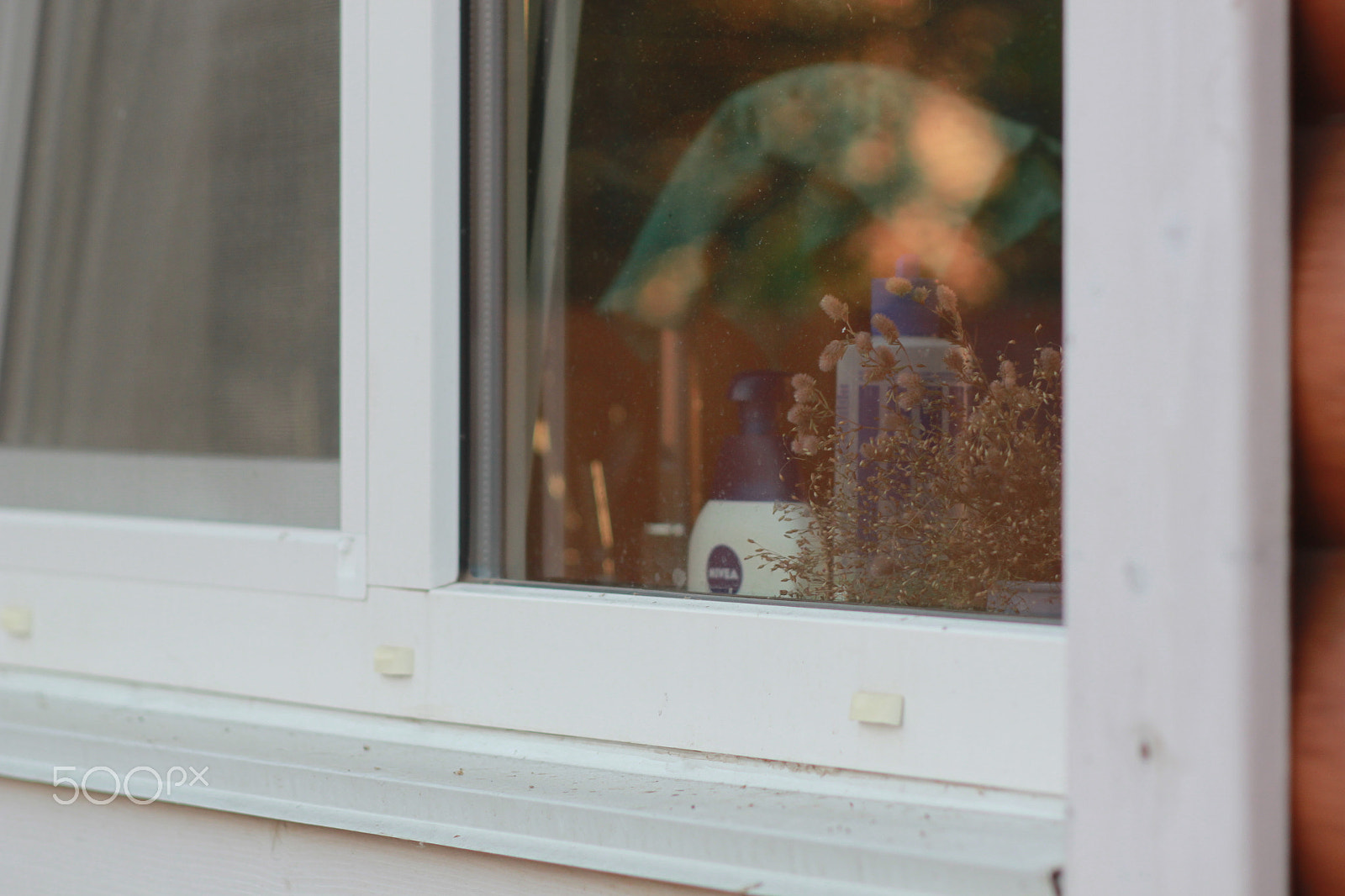 Canon EF 35-80mm f/4-5.6 sample photo. Behind the window photography