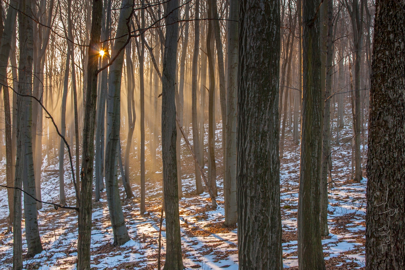 Sigma 17-70mm F2.8-4 DC Macro OS HSM sample photo. Winter lights photography