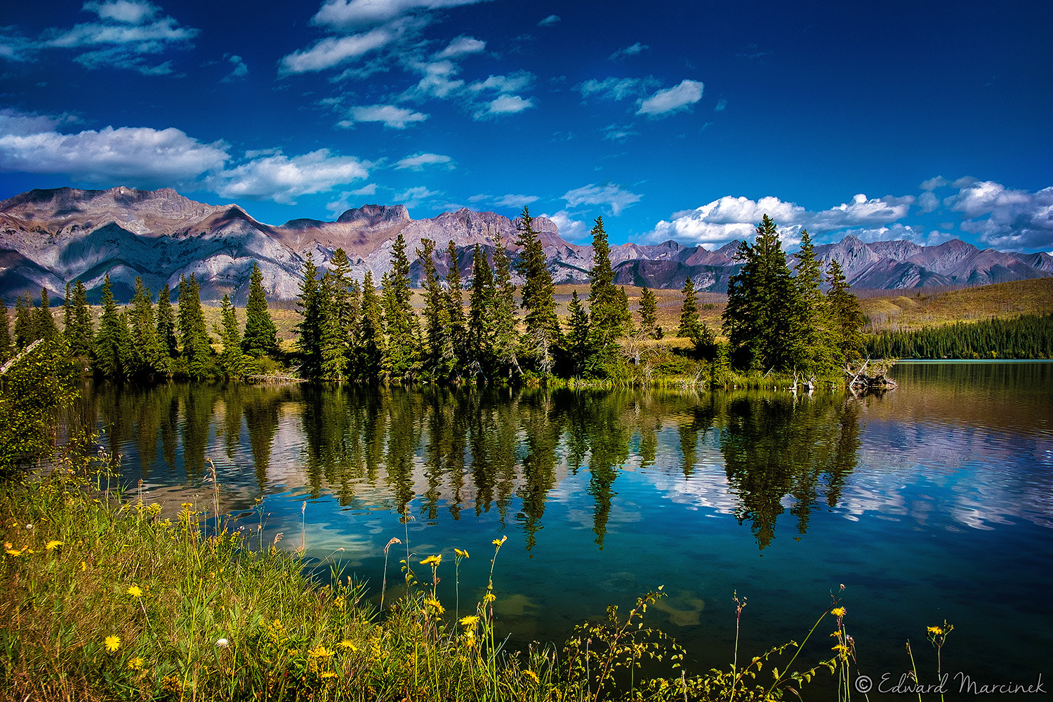Fujifilm X-Pro1 + Fujifilm XF 18mm F2 R sample photo. Athabasca river photography