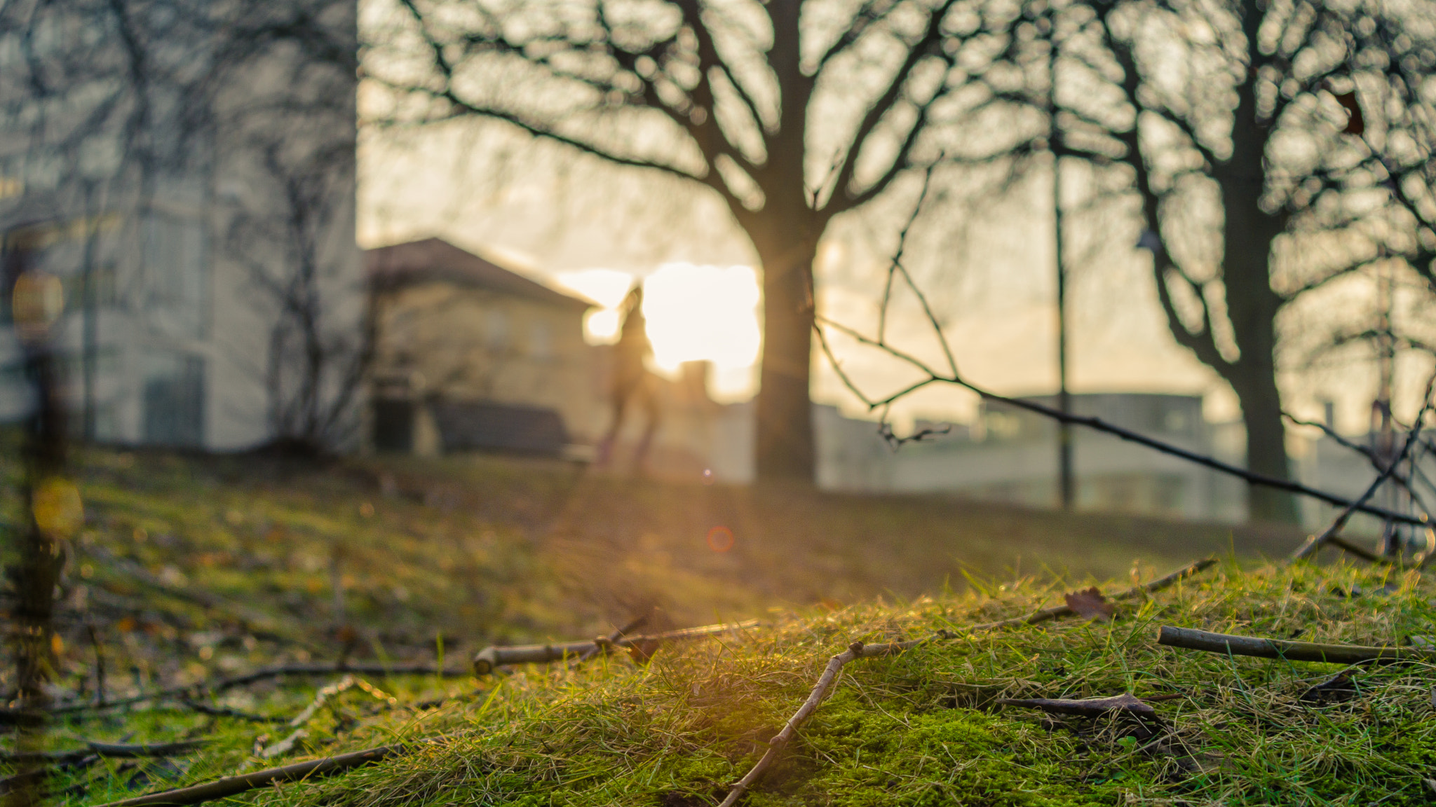 Sony a6000 sample photo. Malmö photography