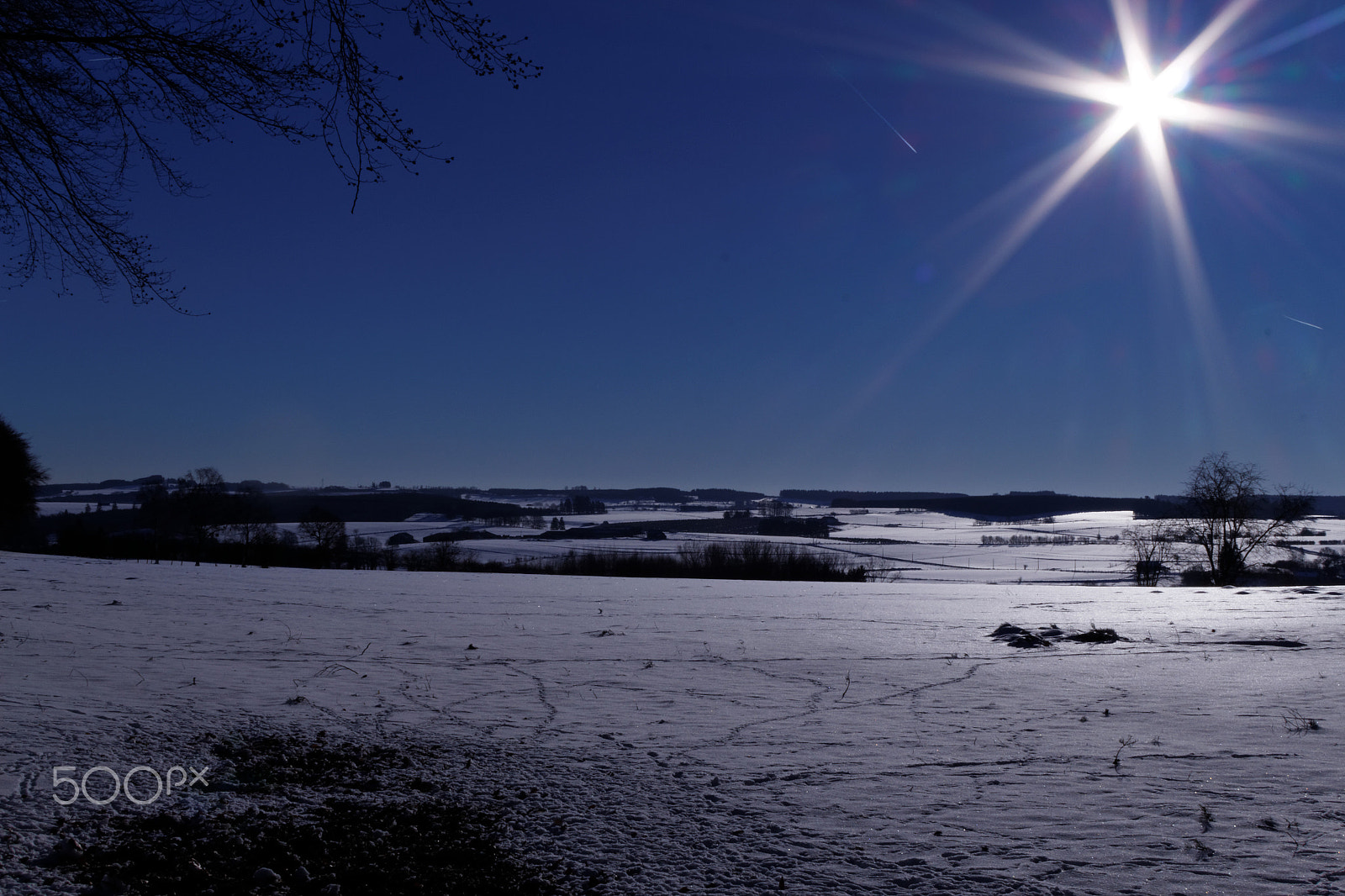 Canon EF-S 18-55mm F3.5-5.6 II sample photo. Niege photography