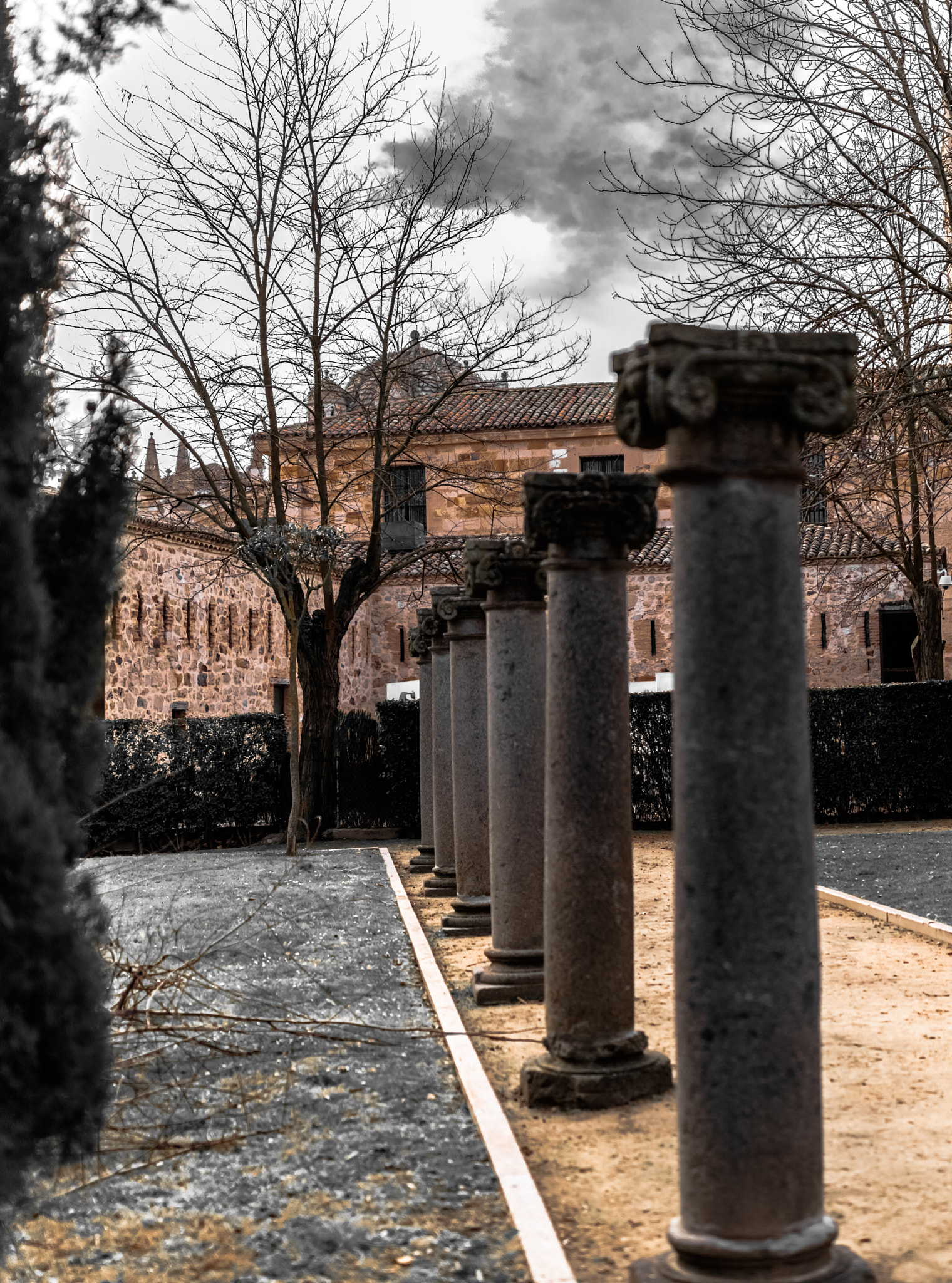 Canon EF 35mm F1.4L II USM sample photo. Catedral zamora columnas black & white photography
