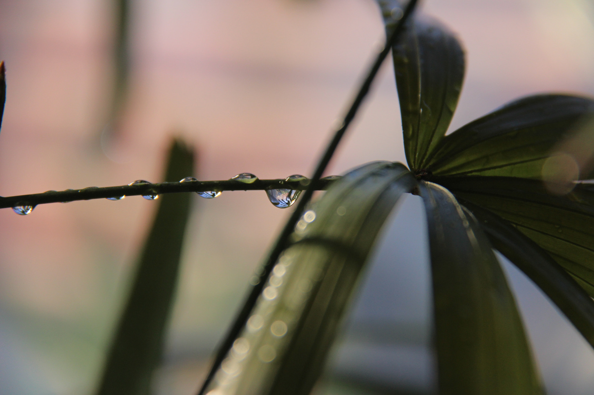 Canon EF-S 18-200mm F3.5-5.6 IS sample photo. 화분에 물주다```찰칵^^ photography