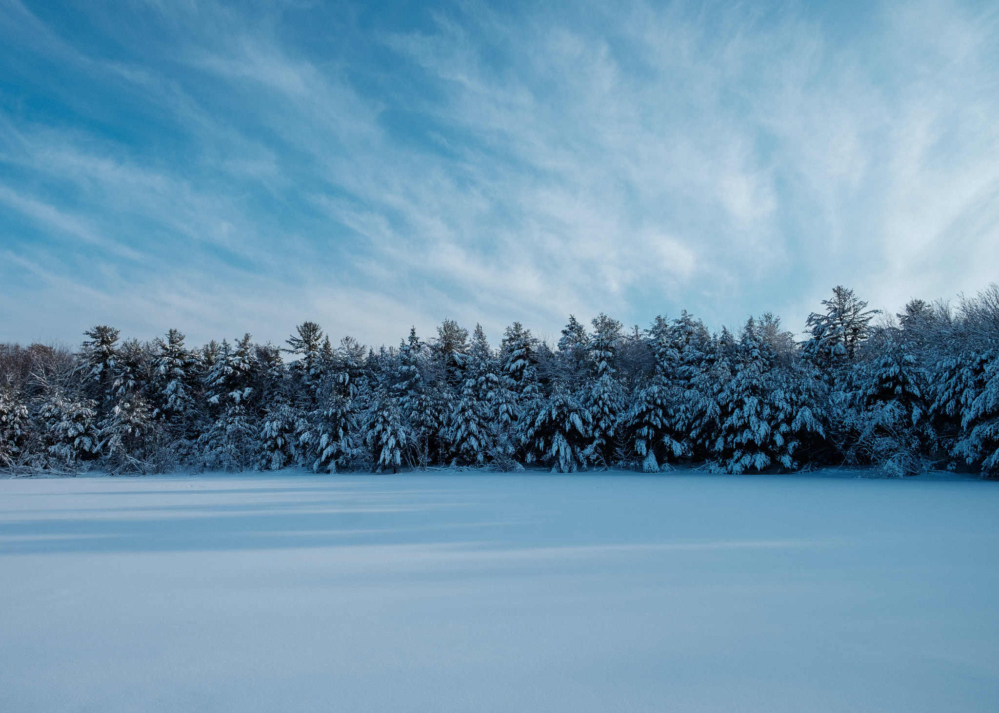 ZEISS Touit 12mm F2.8 sample photo. Snowy afternoon photography