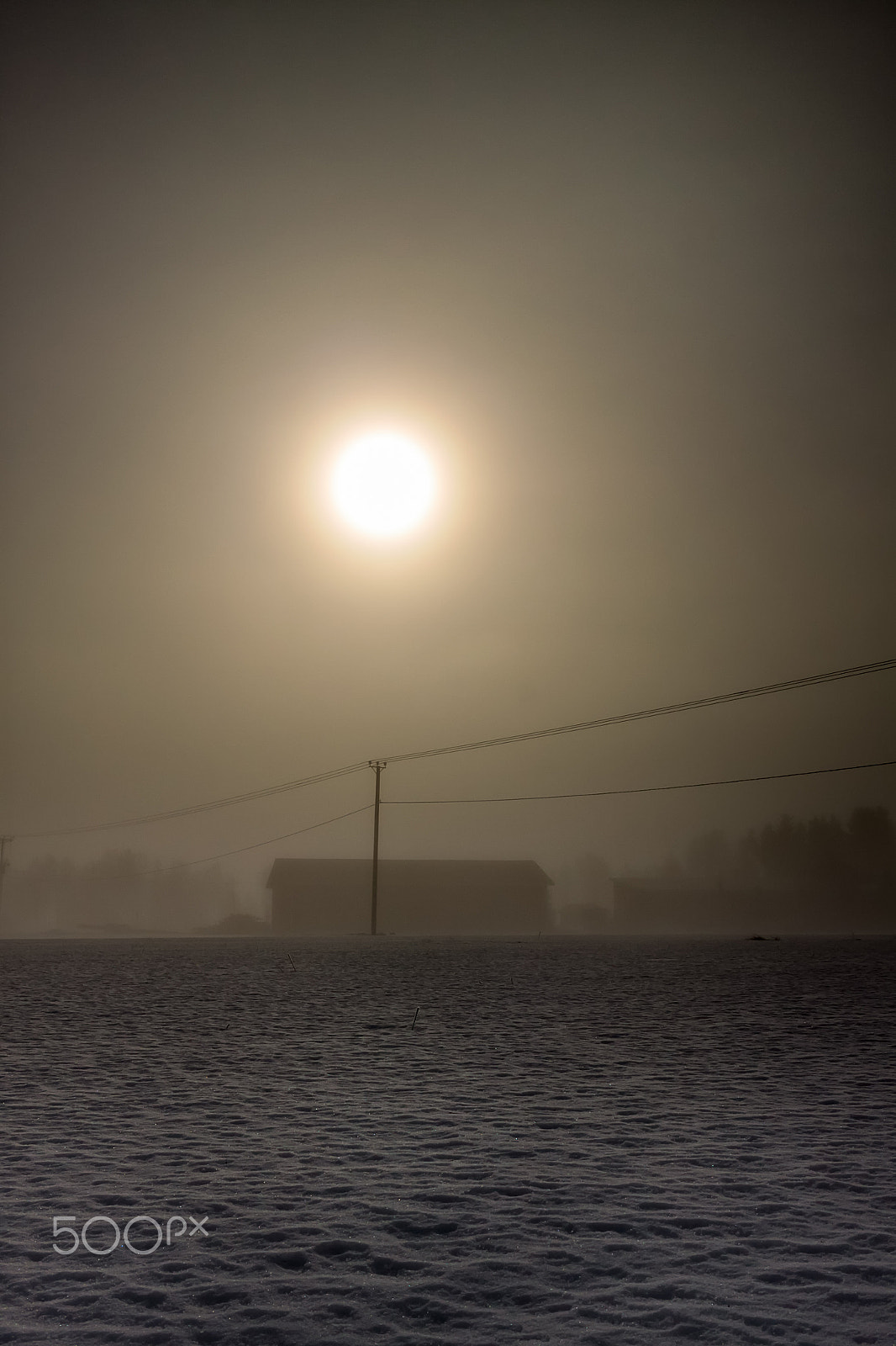Canon EOS 50D sample photo. Sunlight through the mist photography