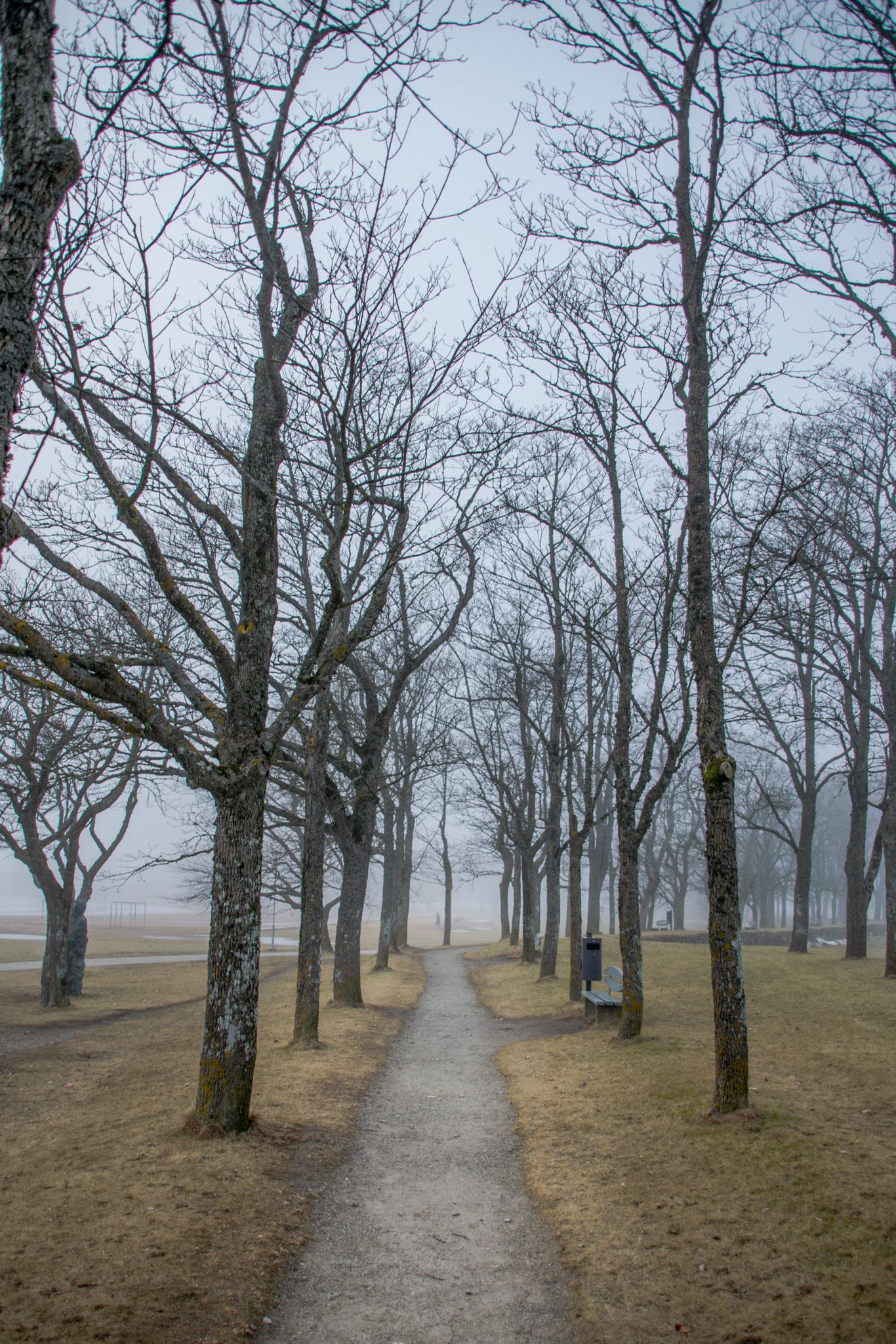 Sigma 28-300mm F3.5-6.3 DG Macro sample photo. Park in the fog photography