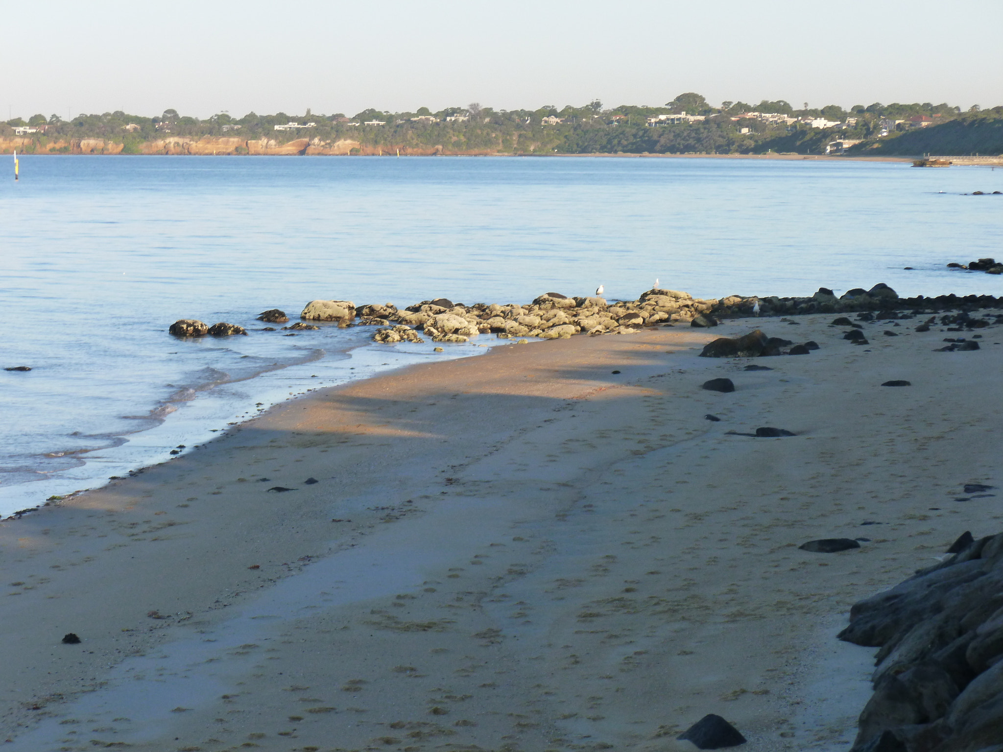 Panasonic DMC-FH25 sample photo. Parkdale beach, victoria australia - early morning walk photography