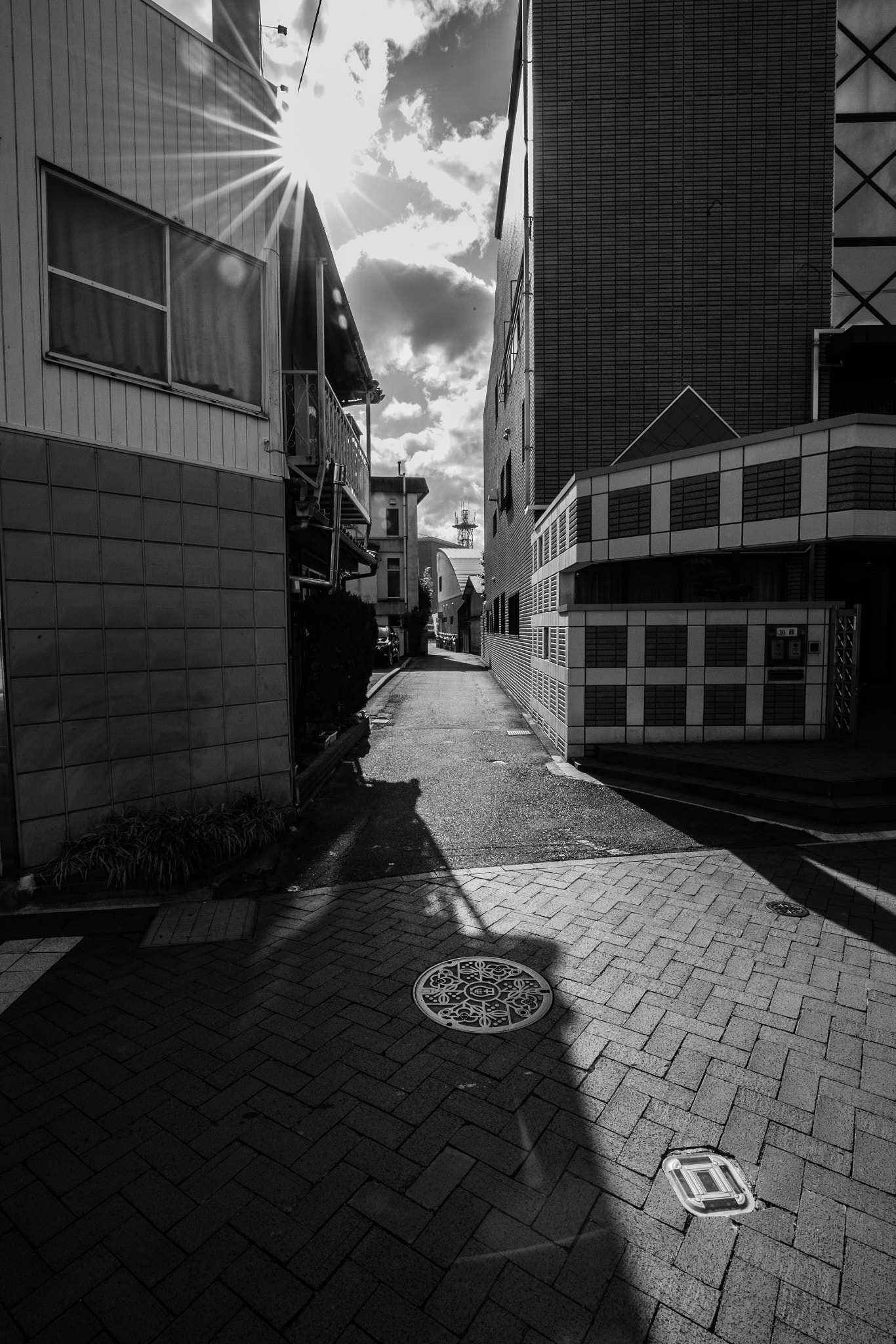 Canon EF 16-35mm F4L IS USM sample photo. Notitle photography