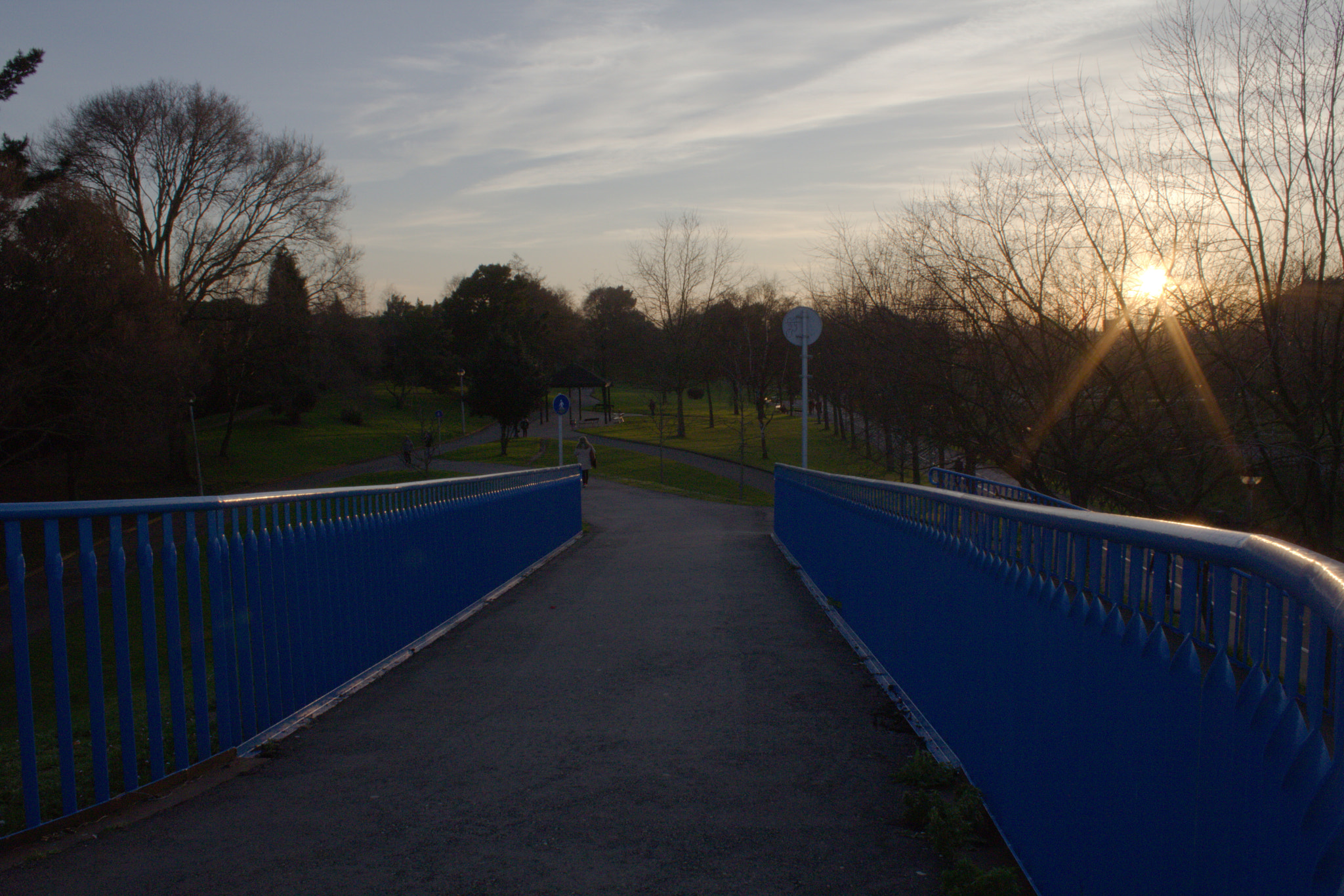 Canon EOS 750D (EOS Rebel T6i / EOS Kiss X8i) sample photo. Mg photography