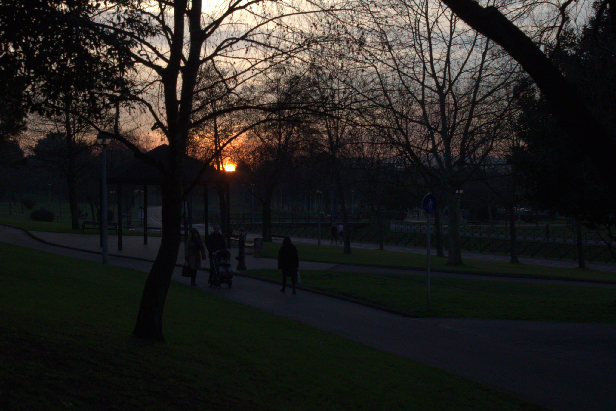 Canon EOS 750D (EOS Rebel T6i / EOS Kiss X8i) sample photo. Mg photography