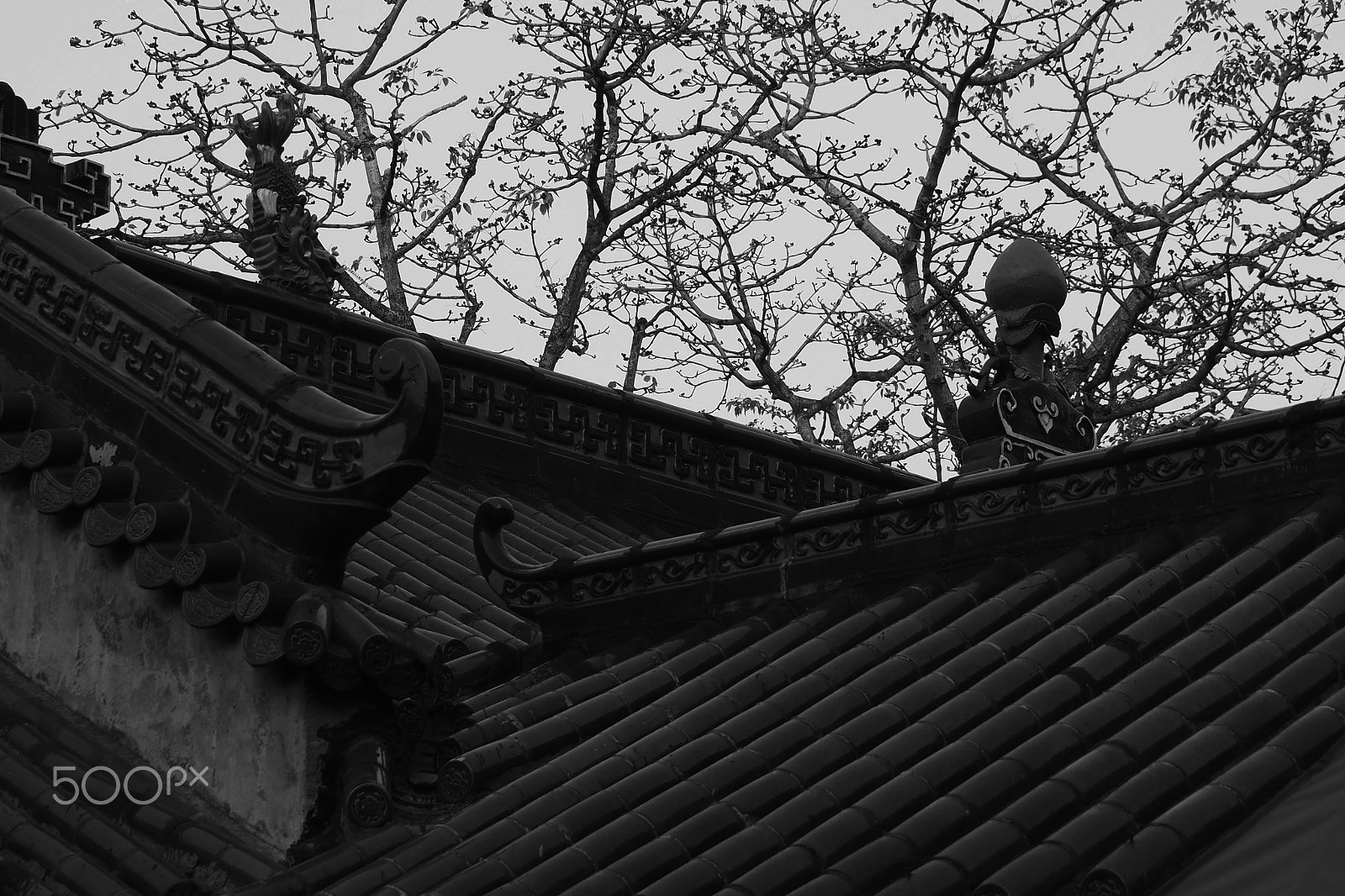 OLYMPUS M.14-150mm F4.0-5.6 II sample photo. 屋顶 photography