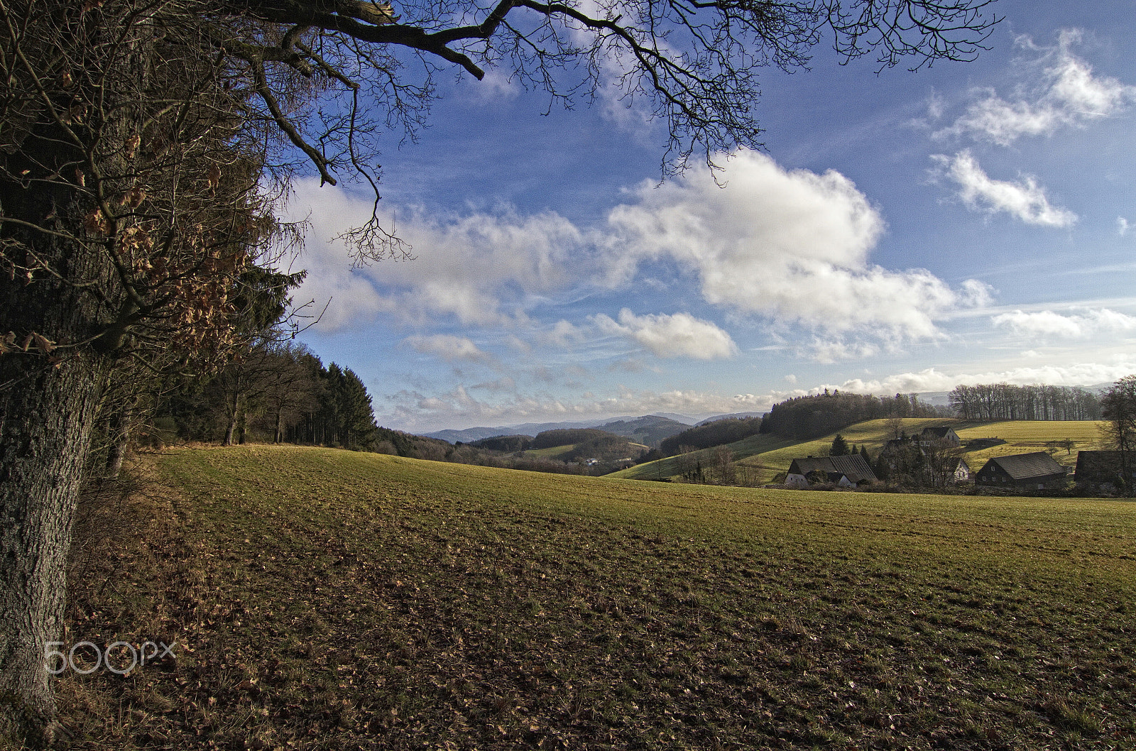 Tokina AT-X Pro 12-24mm F4 (IF) DX sample photo. A sunny winterday photography