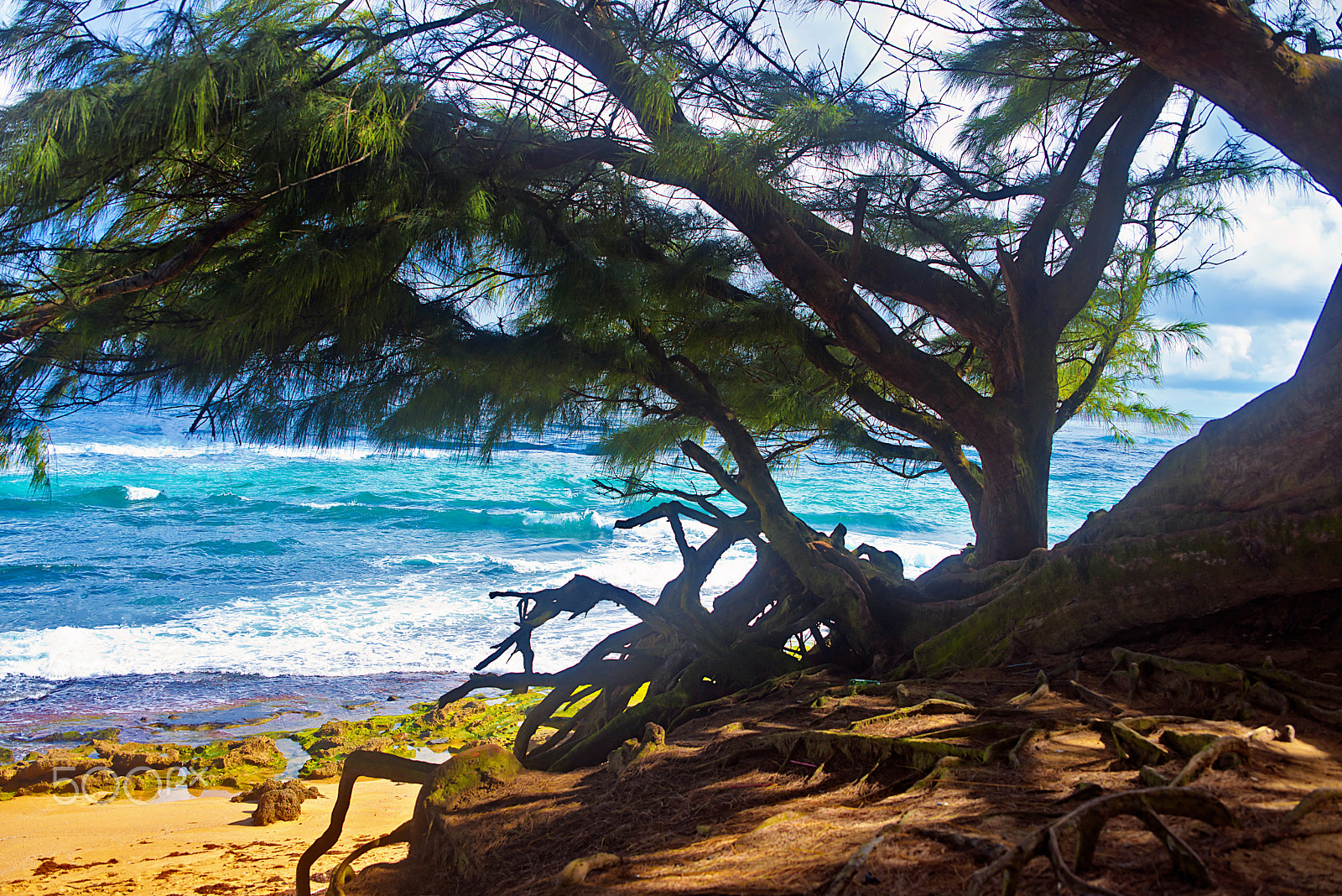 AF Zoom-Nikkor 35-105mm f/3.5-4.5D sample photo. Piñones , isla verde puerto rico photography