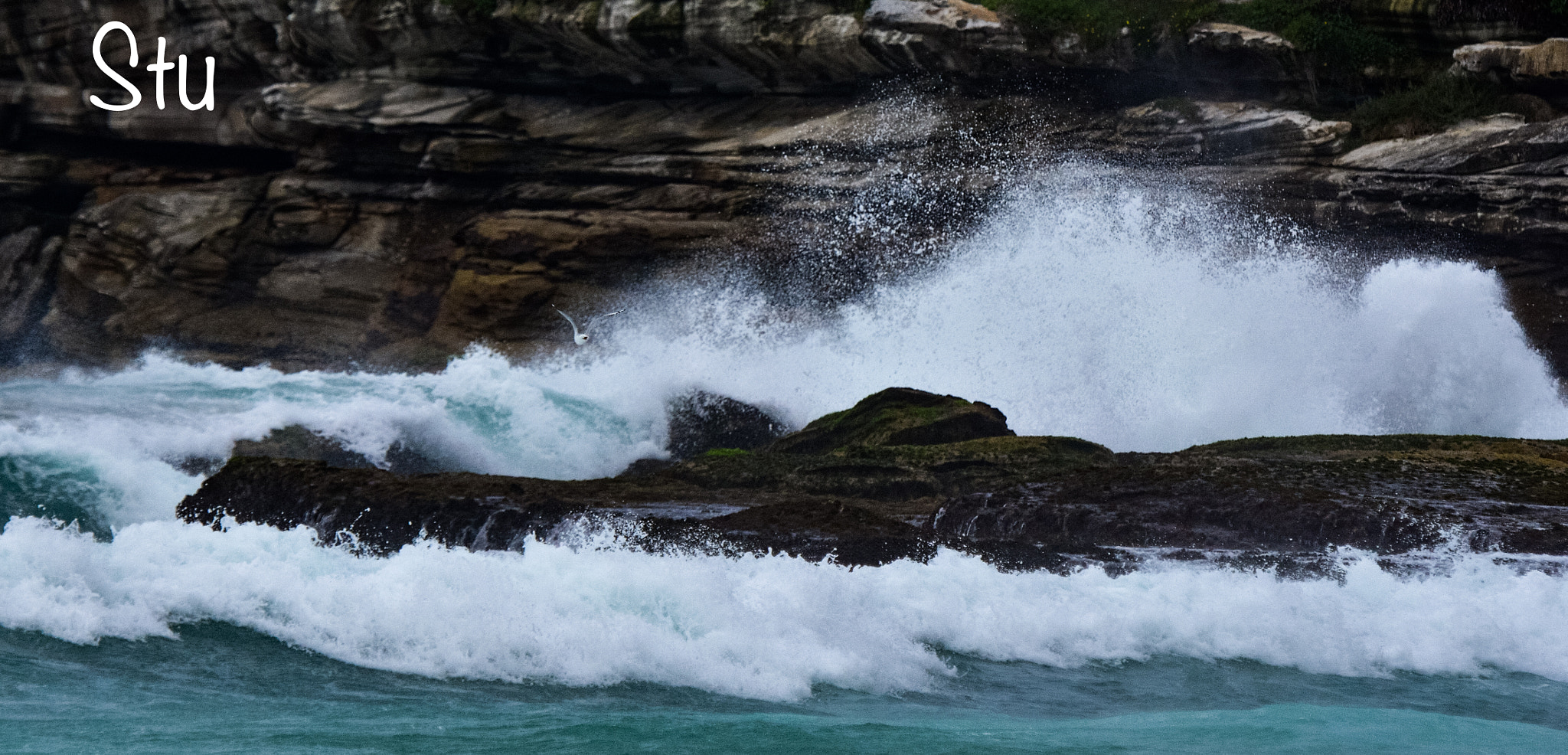 Nikon D7200 sample photo. In bondi  beach photography