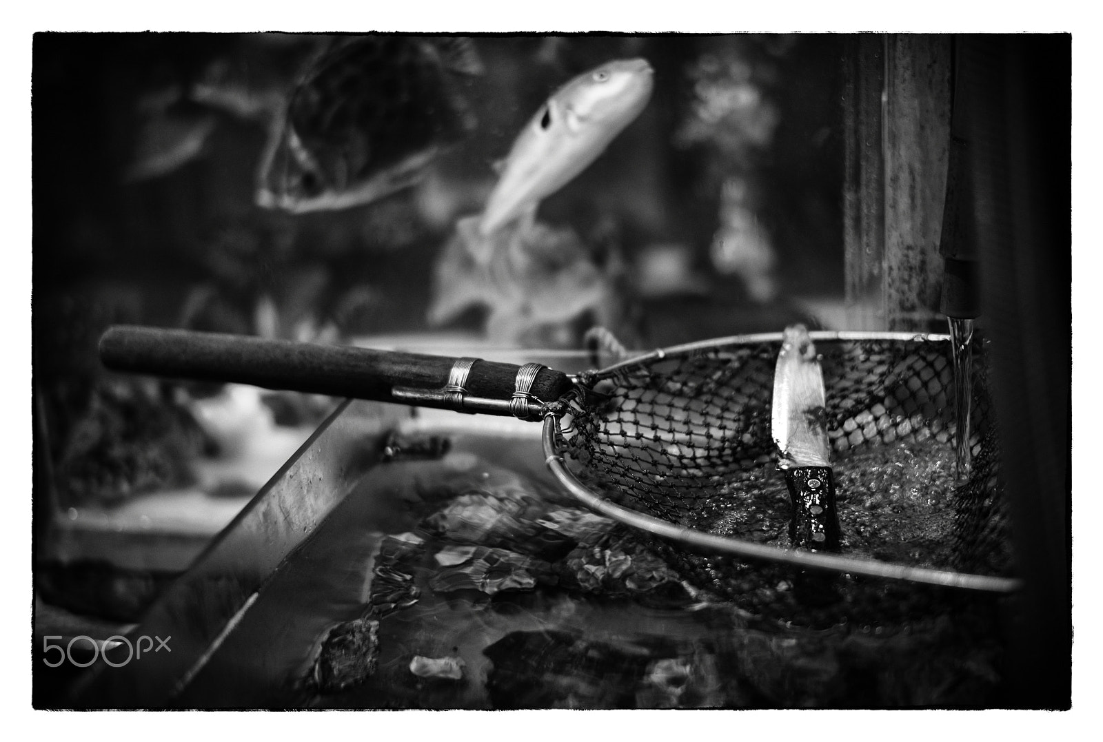 Leica Summilux-M 50mm F1.4 ASPH sample photo. Life is short photography