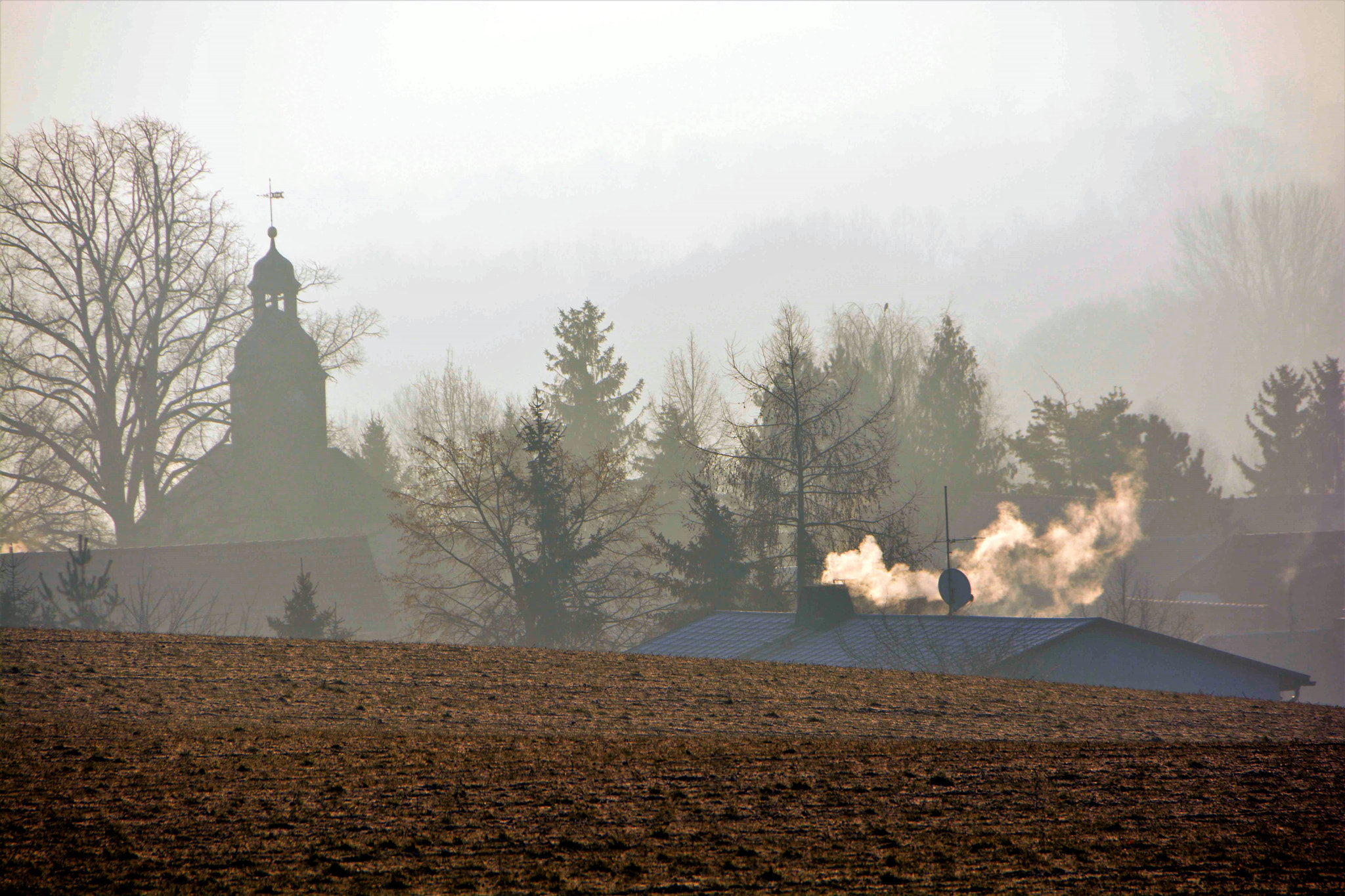 Nikon D7100 + Sigma 18-250mm F3.5-6.3 DC OS HSM sample photo. In the morning photography