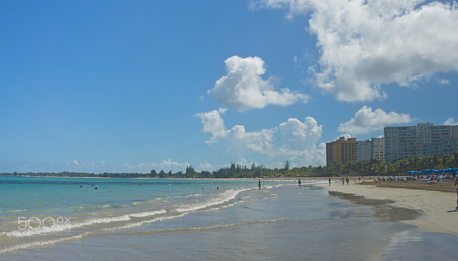 Nikon D800 sample photo. En el mar la vida es mas sabrosa photography