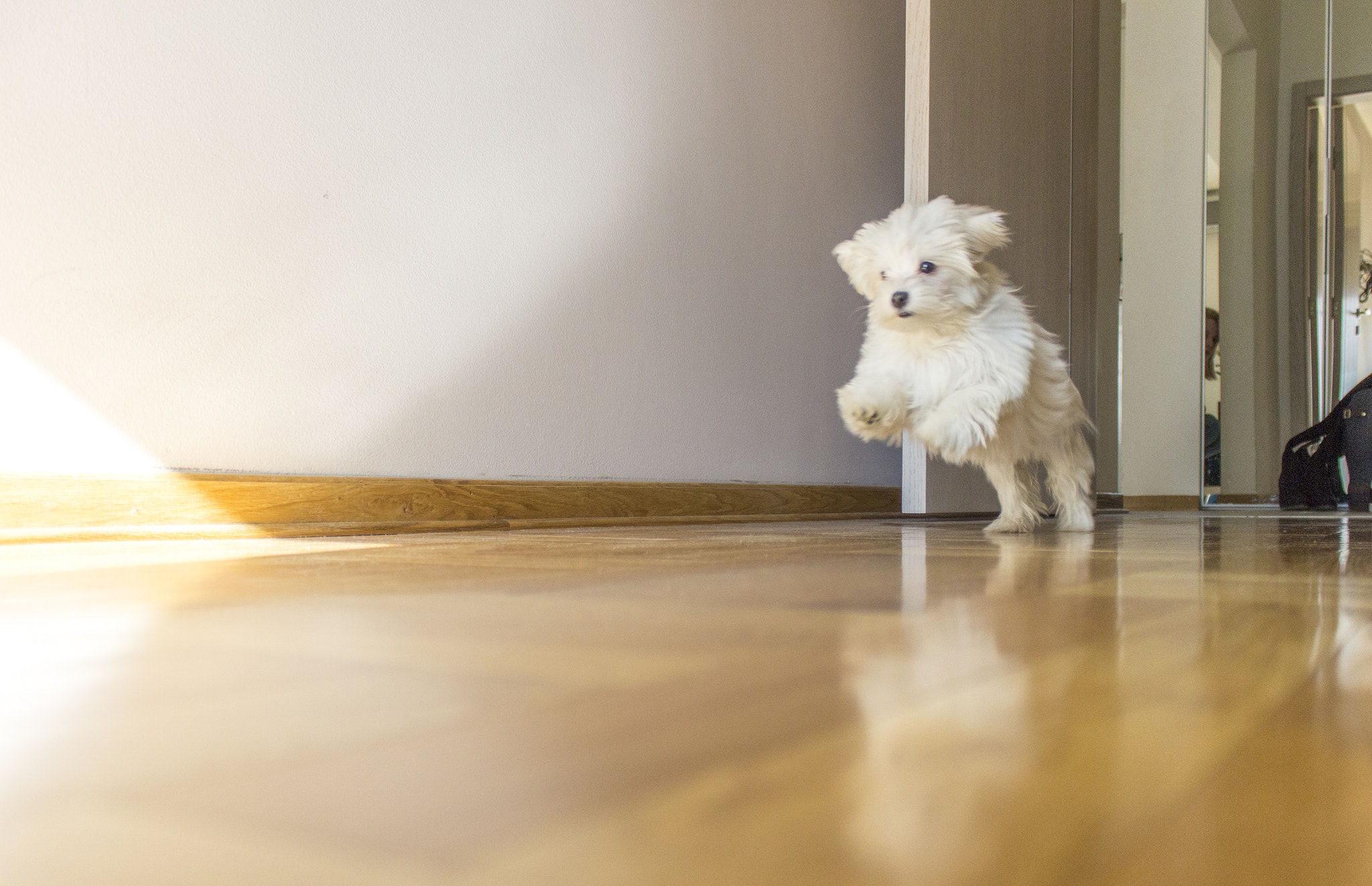 Canon EOS 600D (Rebel EOS T3i / EOS Kiss X5) sample photo. My wild beast :) photography