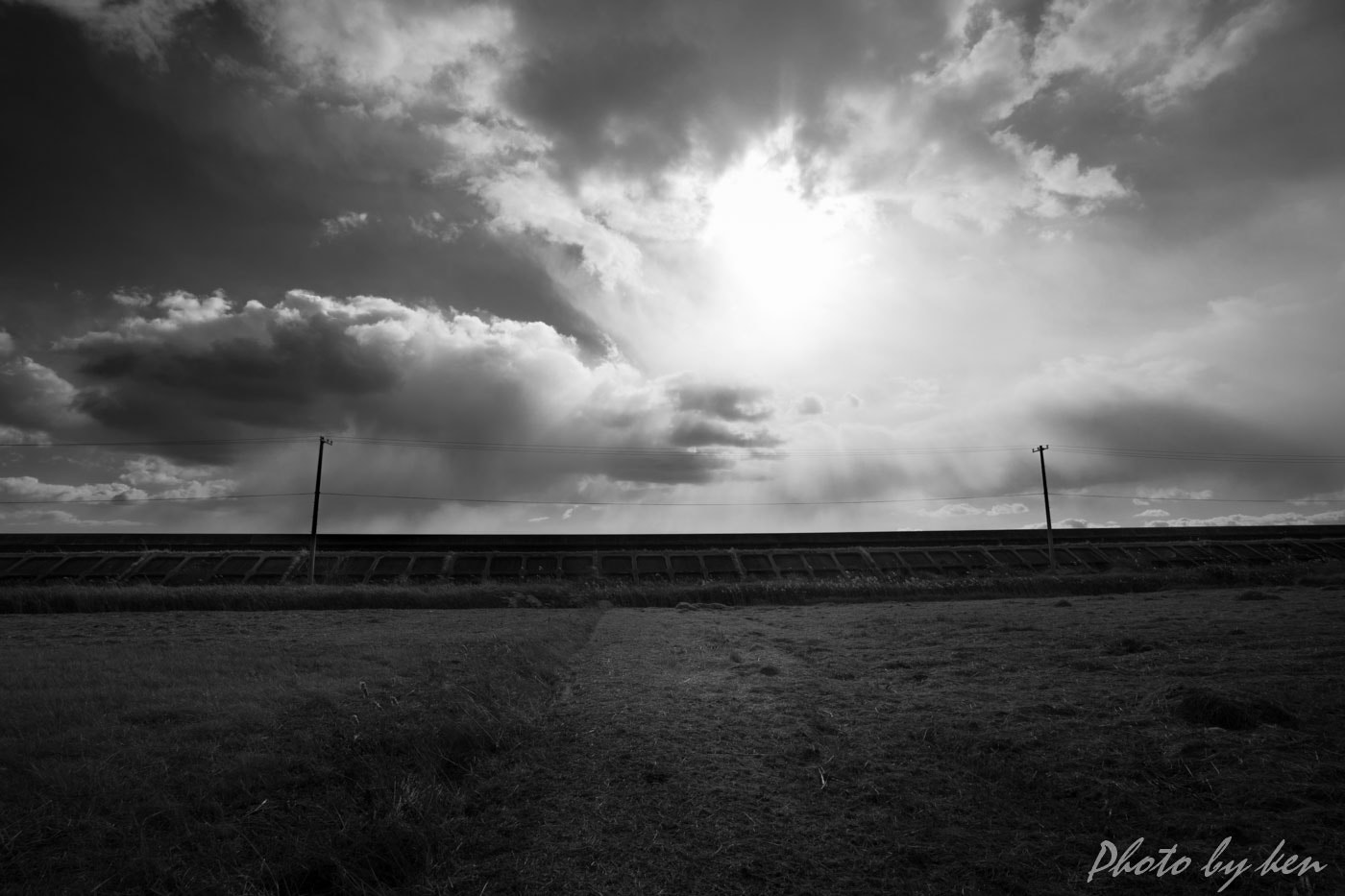 Canon EF 17-40mm F4L USM sample photo. Afternoon photography