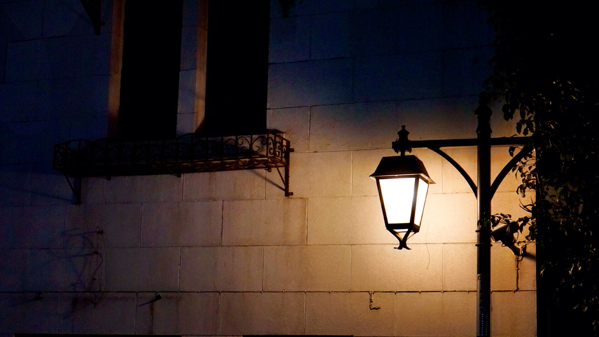 Sony E 50mm F1.8 OSS sample photo. Shanghai temperature is 18 degrees, yesterday evening walk comfortable photography