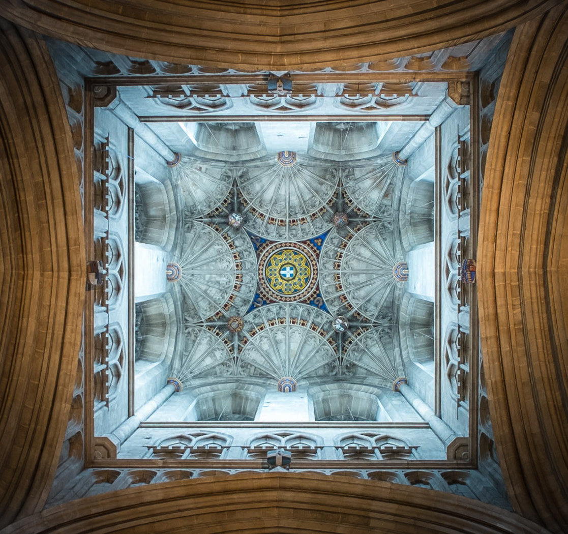 Fujifilm X-E1 sample photo. Looking up by julie lawton photography