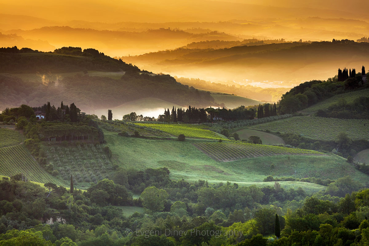 Canon EF 70-200mm F4L IS USM sample photo. Golden light of tuscany photography