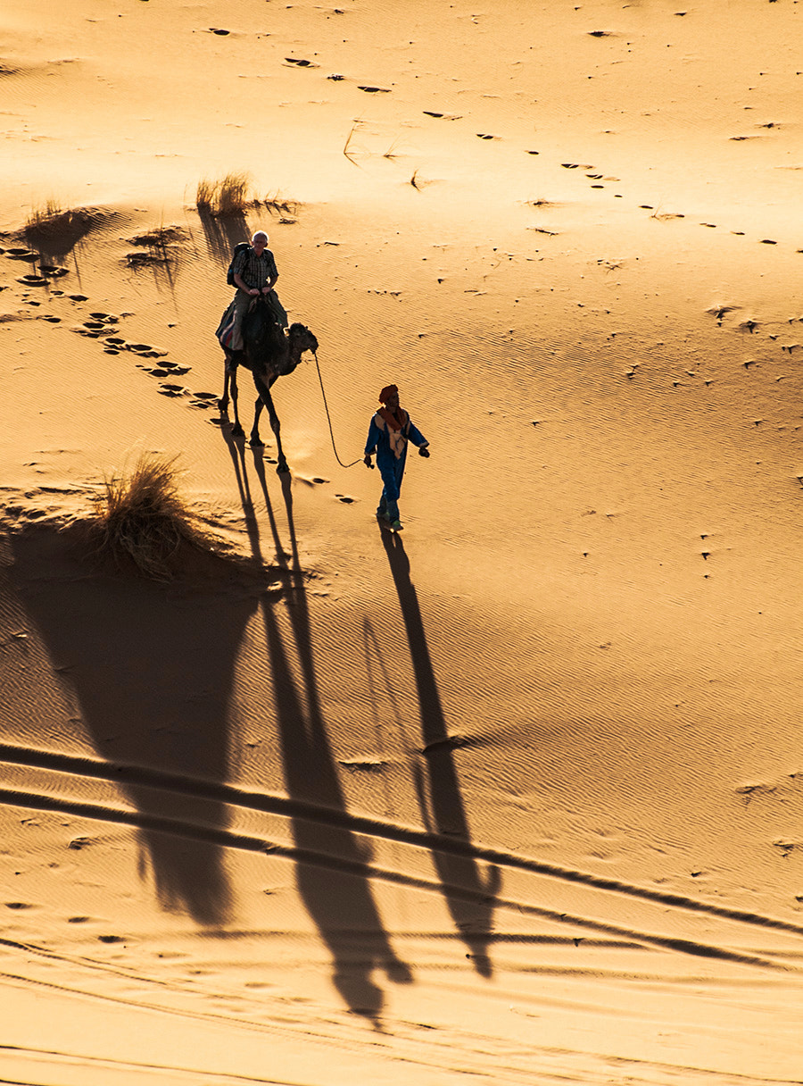 Nikon D300S sample photo. Walking in the desert photography