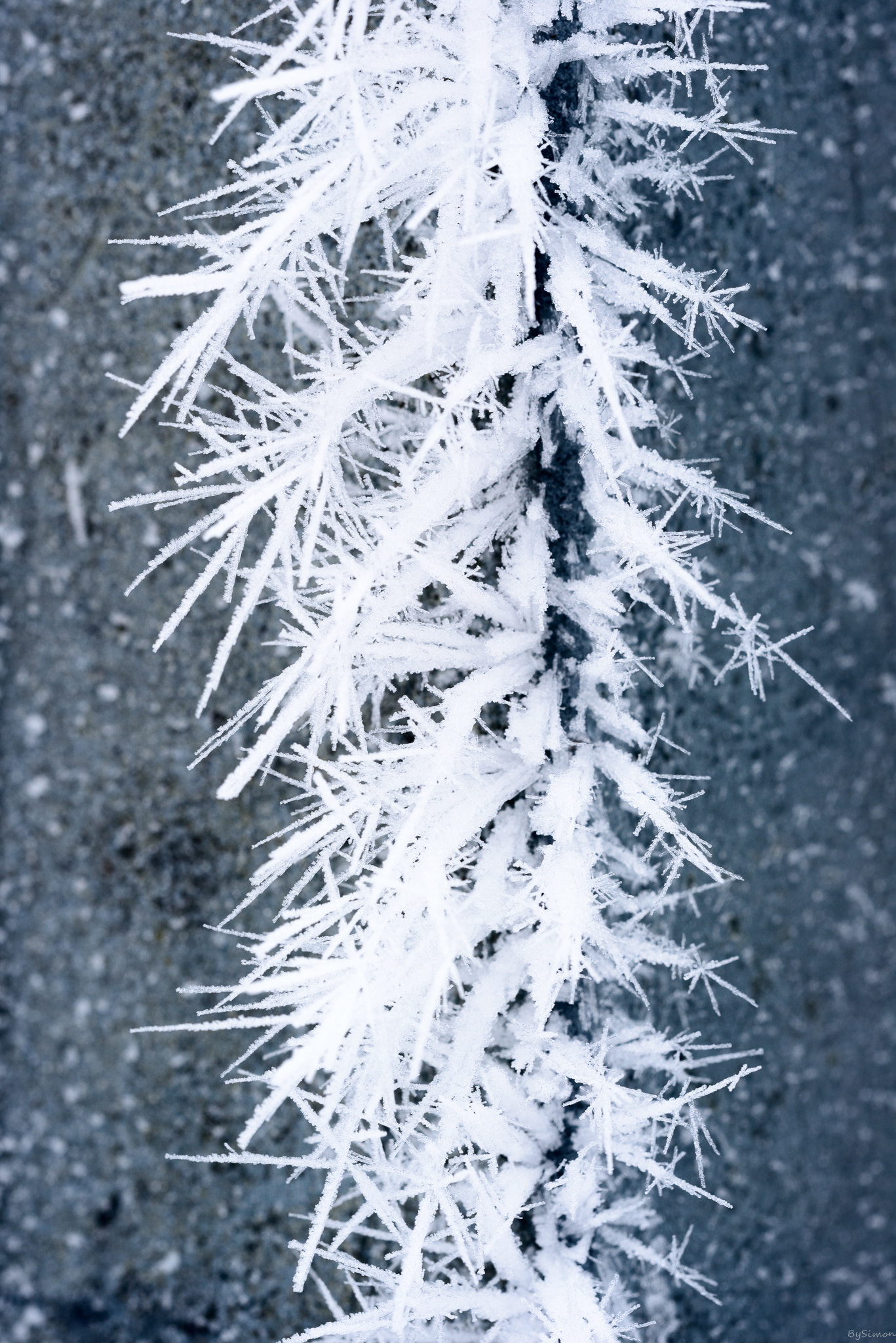 Sigma 150mm F2.8 EX DG OS Macro HSM sample photo. Frozen steel photography