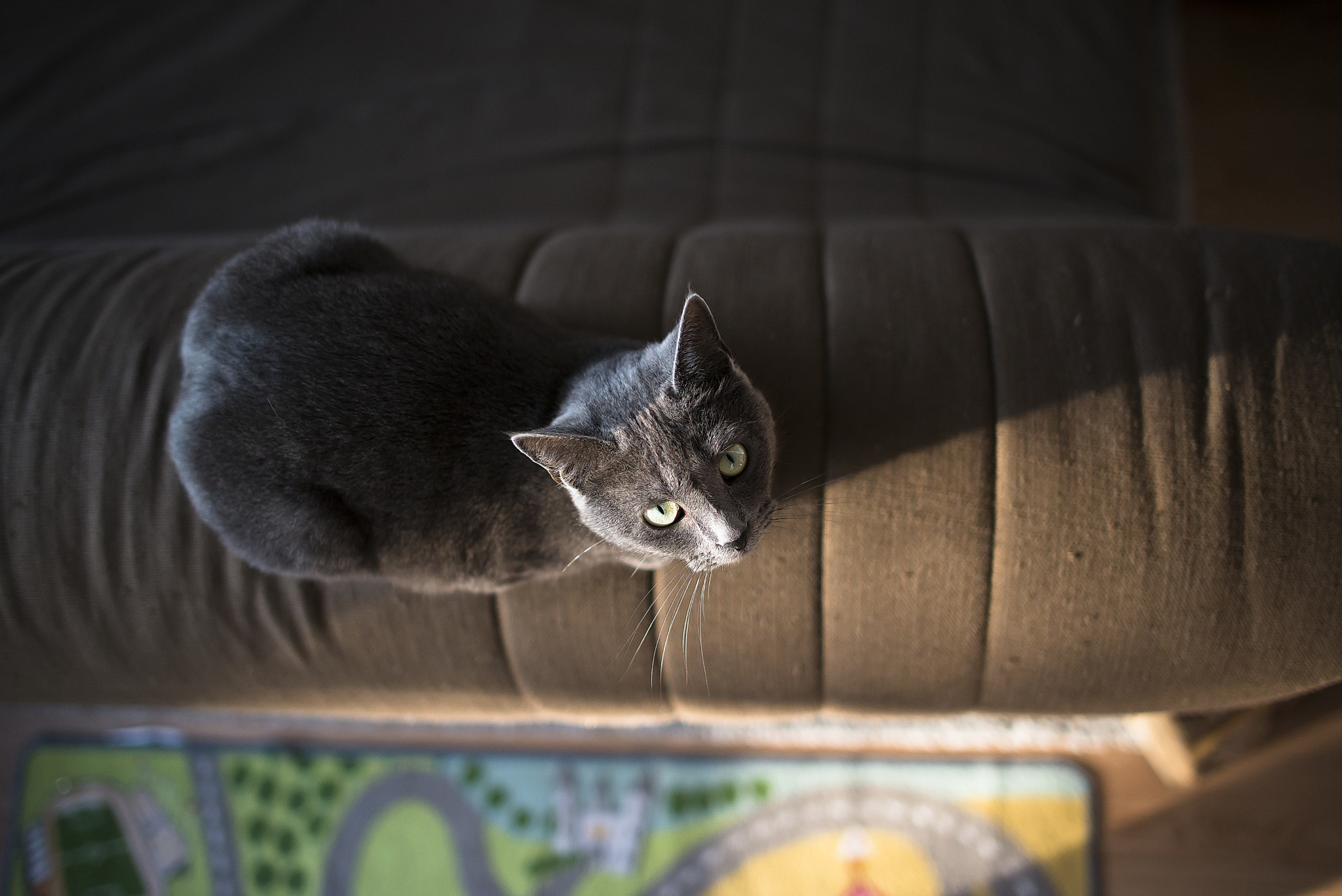 Nikon AF-S Nikkor 28mm F1.8G sample photo. - surprise - photography