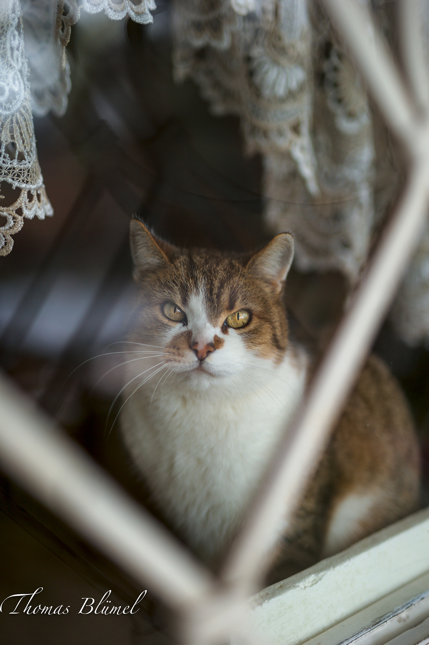 Canon EF 35mm F1.4L USM sample photo. Model kadisha ;) photography