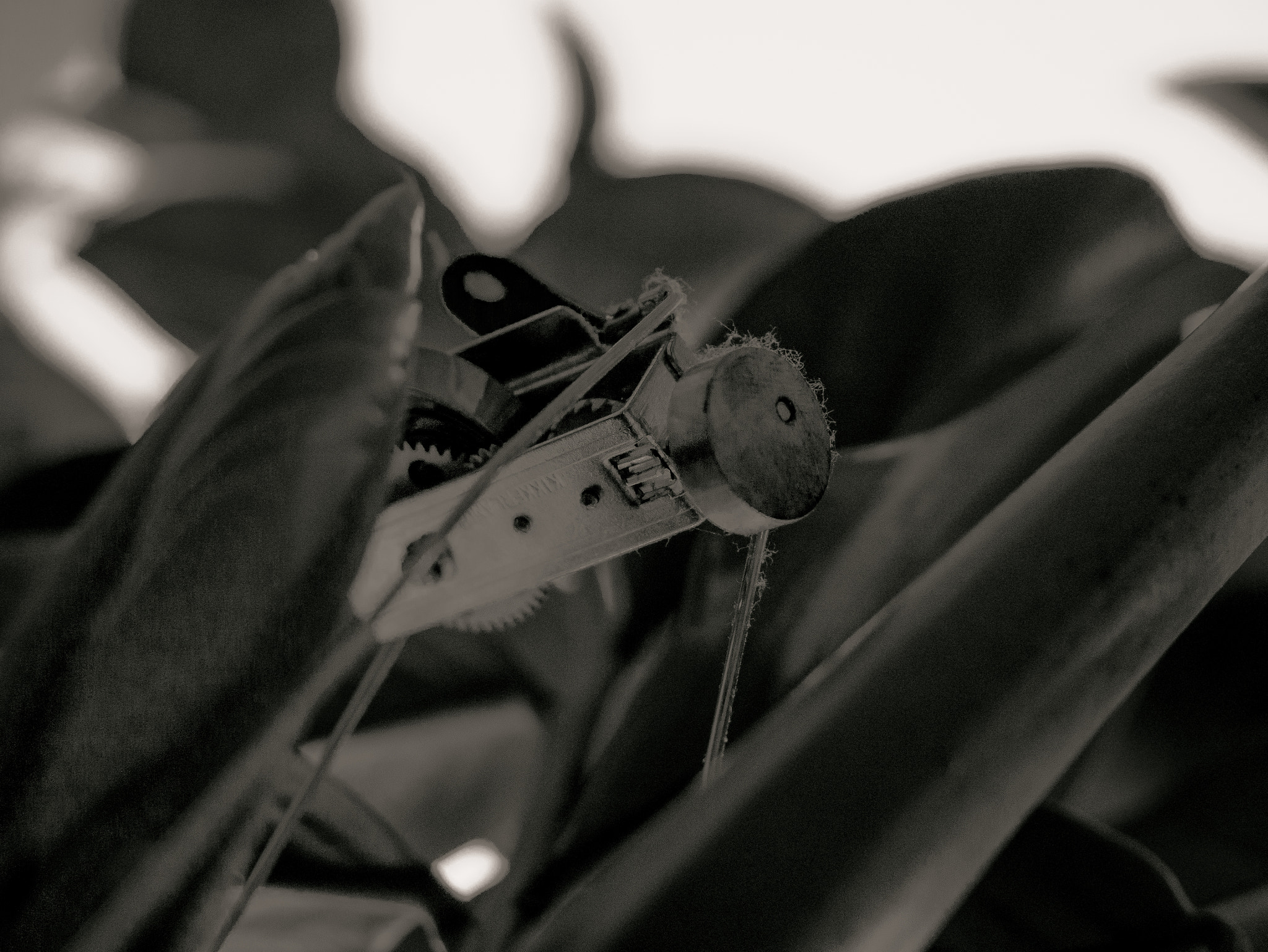 LUMIX G VARIO 12-60/F3.5-5.6 sample photo. Anima tronos photography