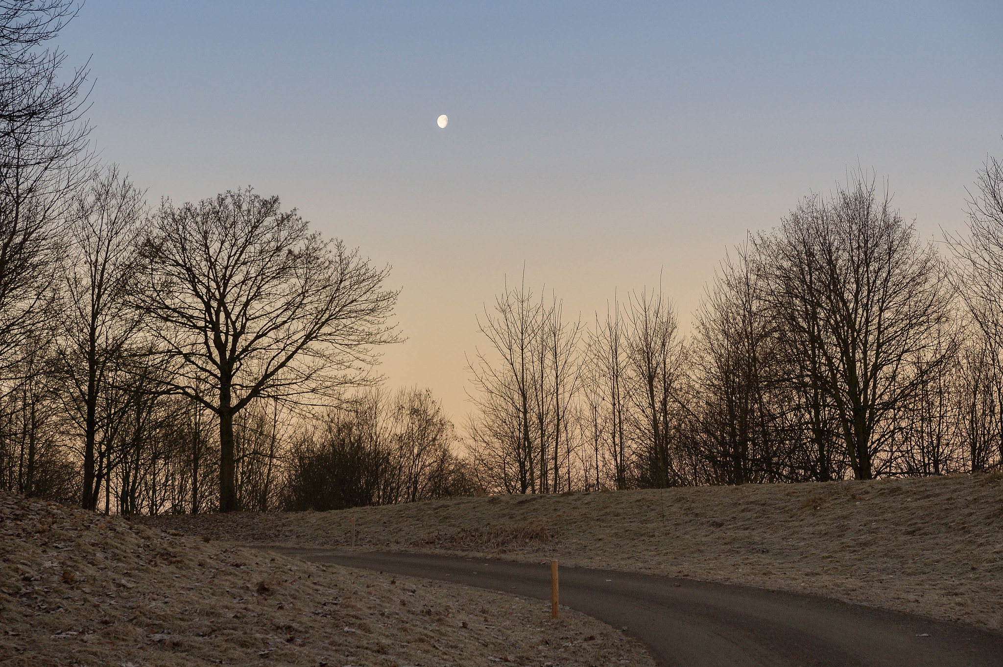 Sony SLT-A57 sample photo. Morning shuffle photography