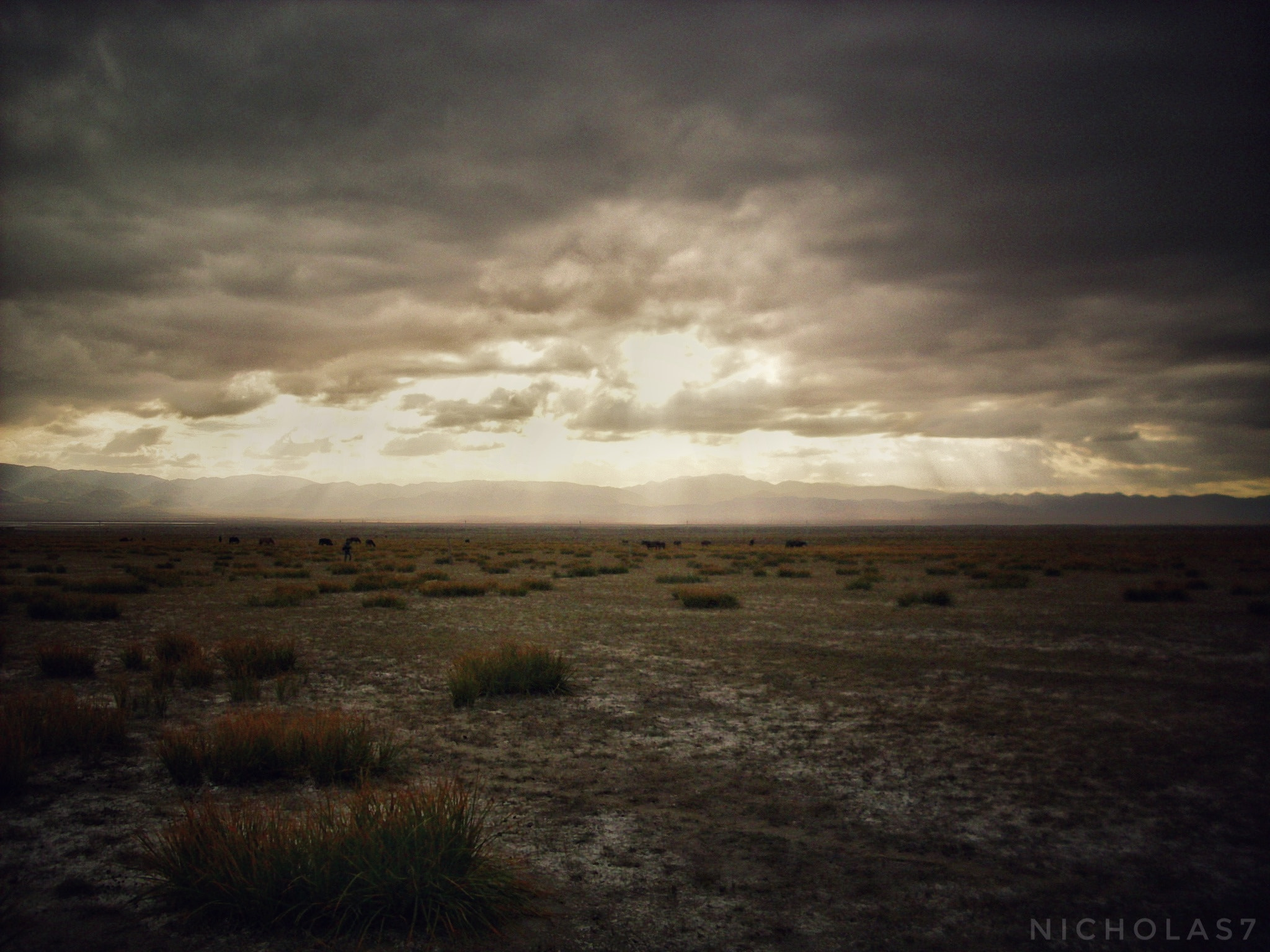 Benq DC C1020 sample photo. Gobi photography