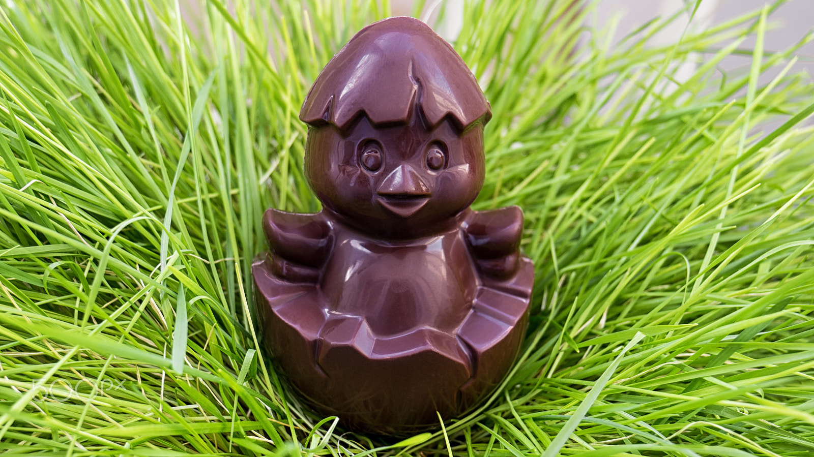 Sony Alpha NEX-6 sample photo. Chocolate chicken sitting on a nest of grass photography