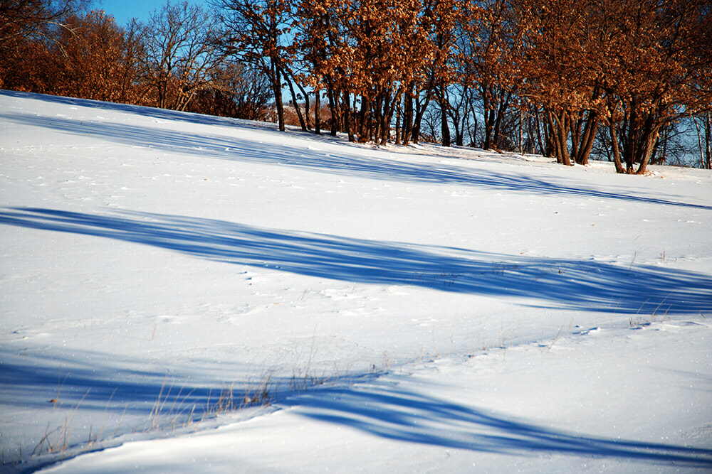 Nikon D800 sample photo