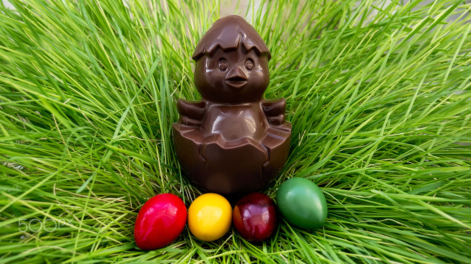 Sony Alpha NEX-6 sample photo. Chocolate chicken sitting on a nest of grass with colorful eggs photography