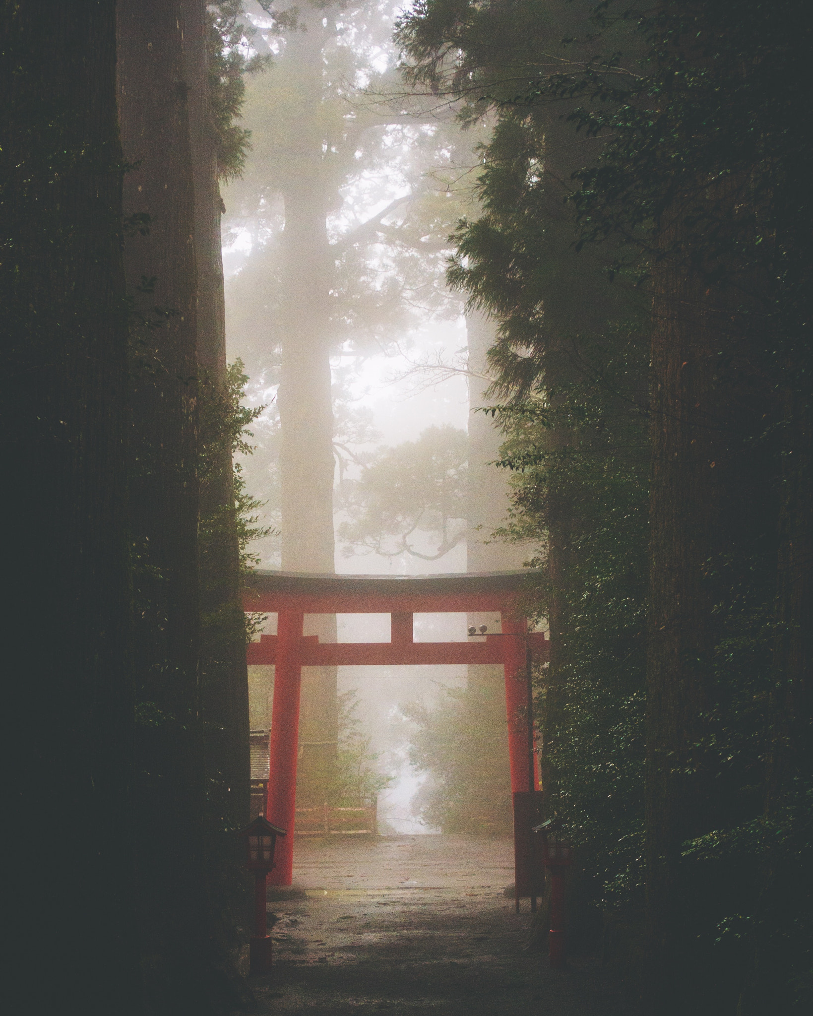 Sony Alpha NEX-5 + Sony E 35mm F1.8 OSS sample photo. Hakone shrine photography