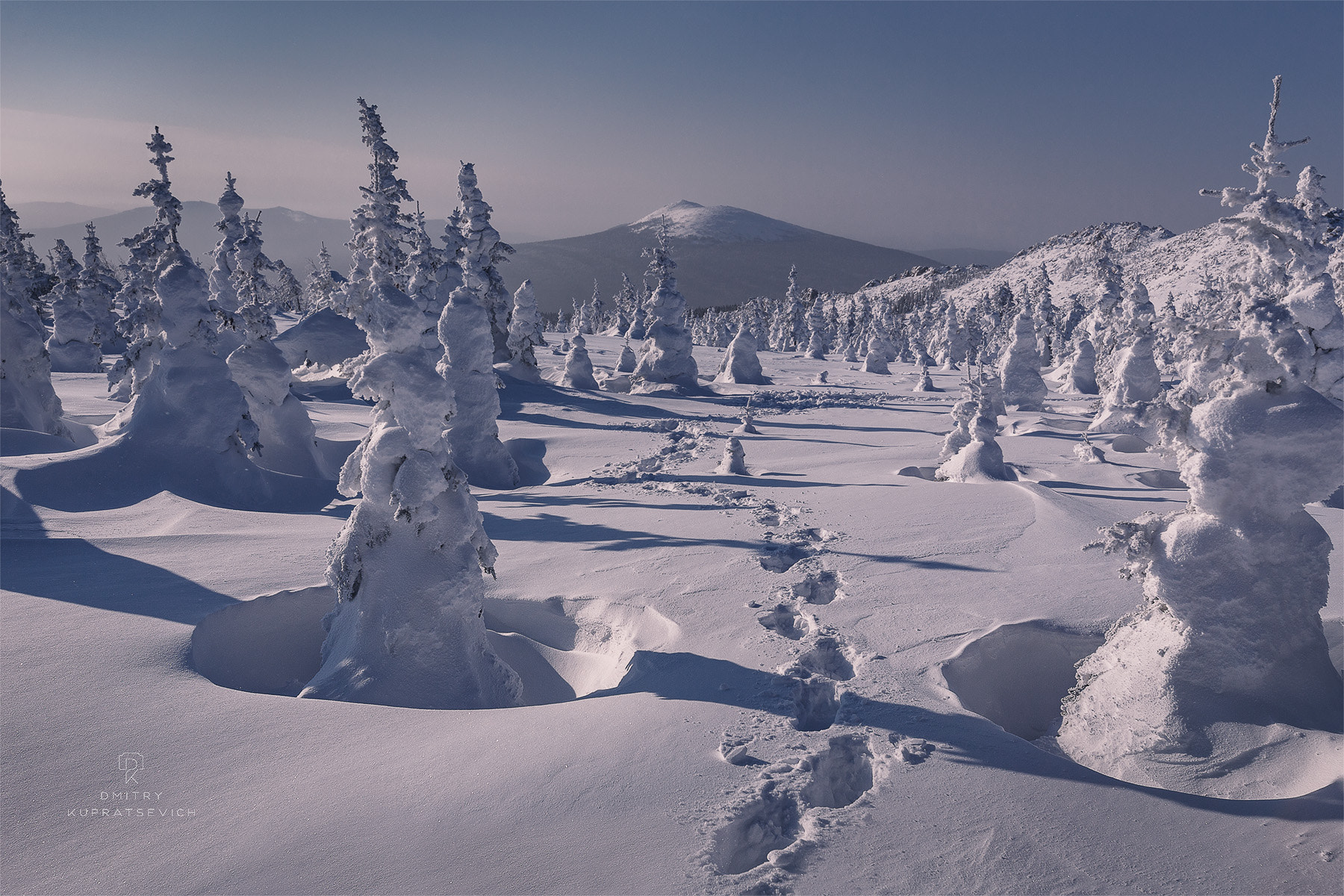 Canon EF 16-35mm F2.8L USM sample photo. In the snow photography