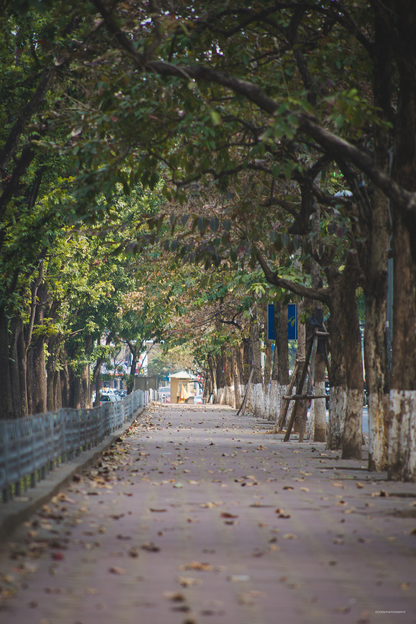 Nikon D600 + AF Nikkor 70-210mm f/4-5.6D sample photo
